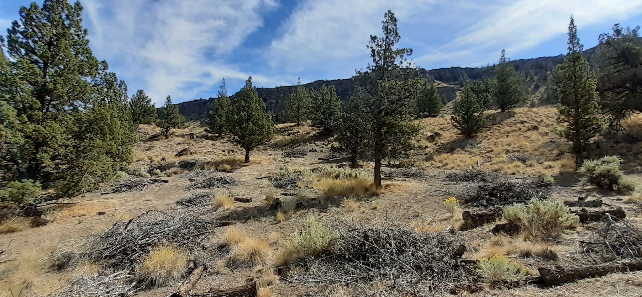 Long climb to the plateau 