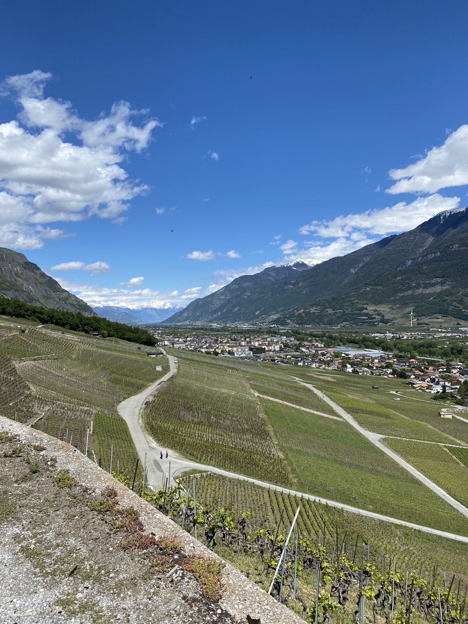 Blick ins Wallis
