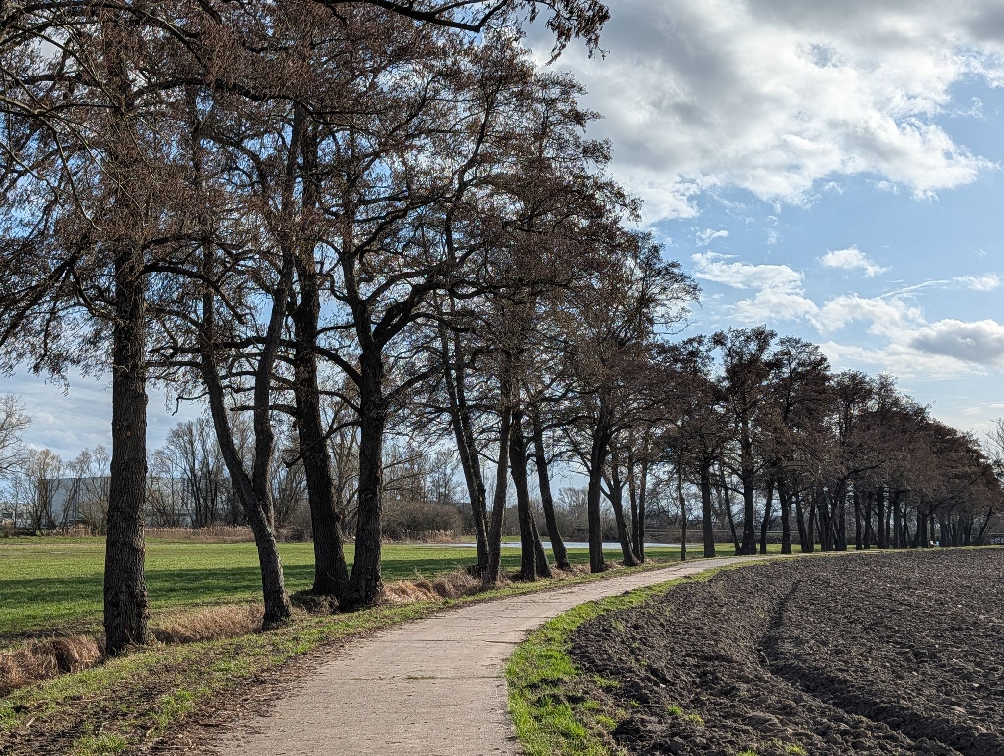 Entspanntes Radfahren zwischen Nauheim und Groß-Gerau