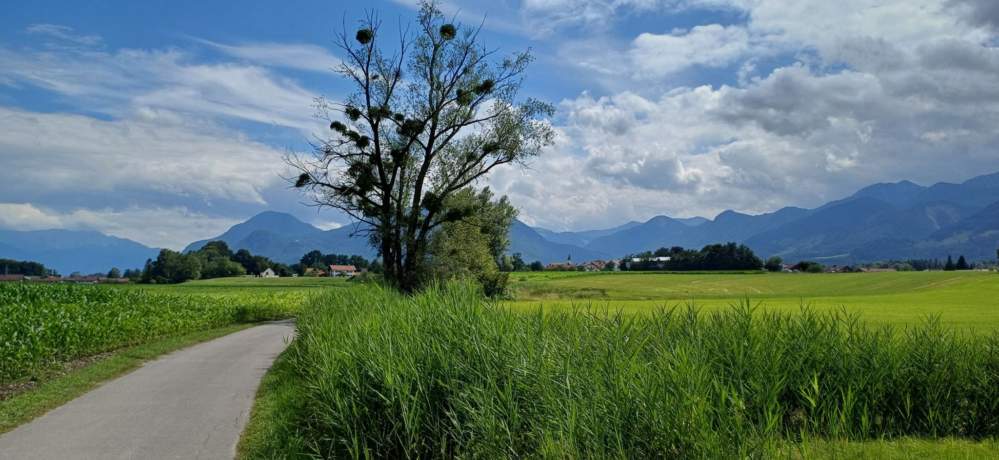 Blick auf Reischenhart