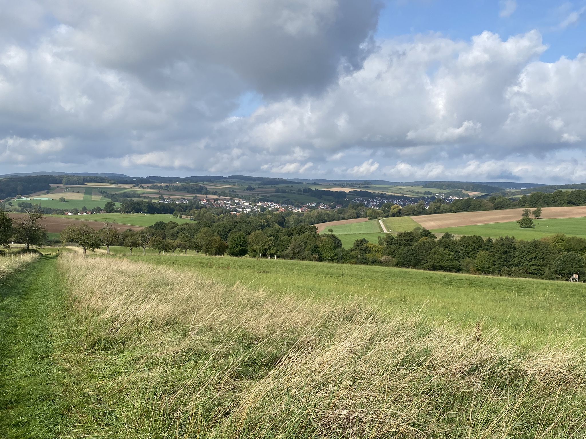 Blick auf Schöllkrippen