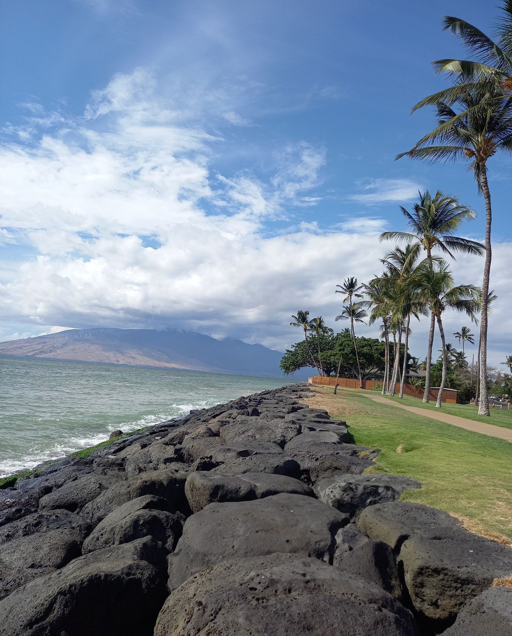 Rocky seawall next to ocean, palm trees, and distant mountain. - Kalama Park loop