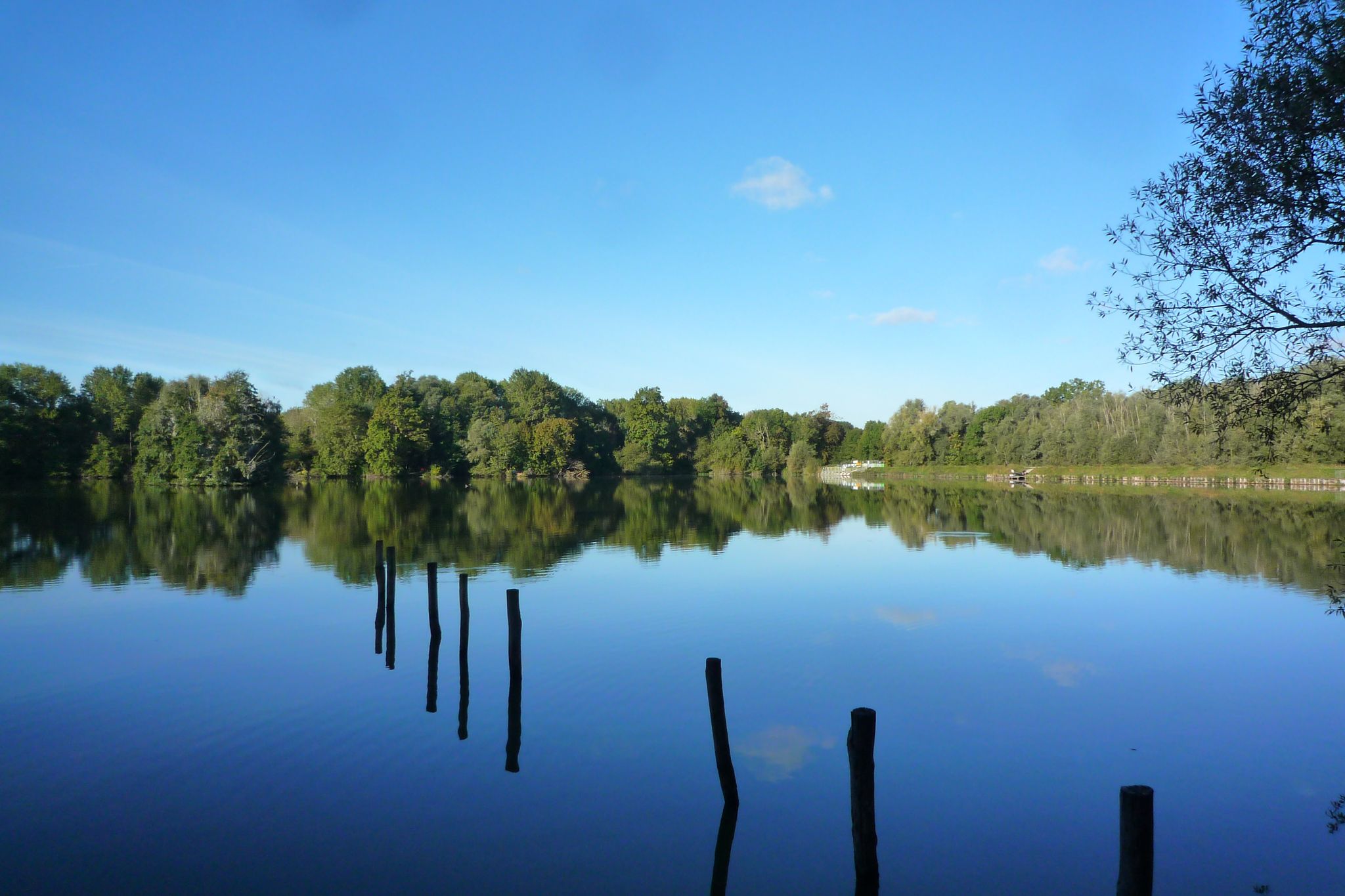 Etang de la Loy