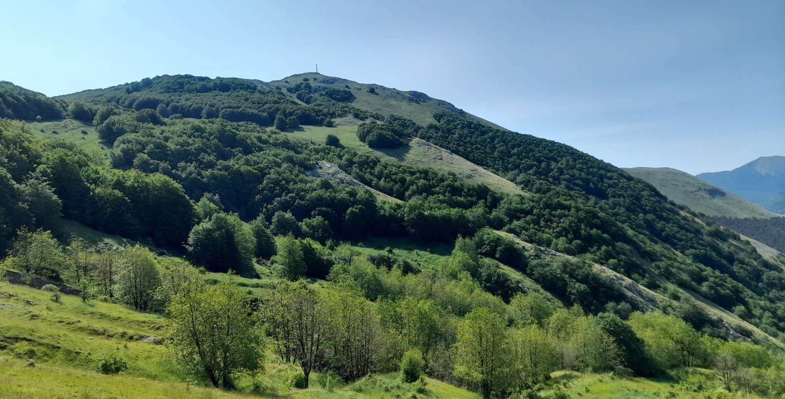 Monte Raparo versante Nord