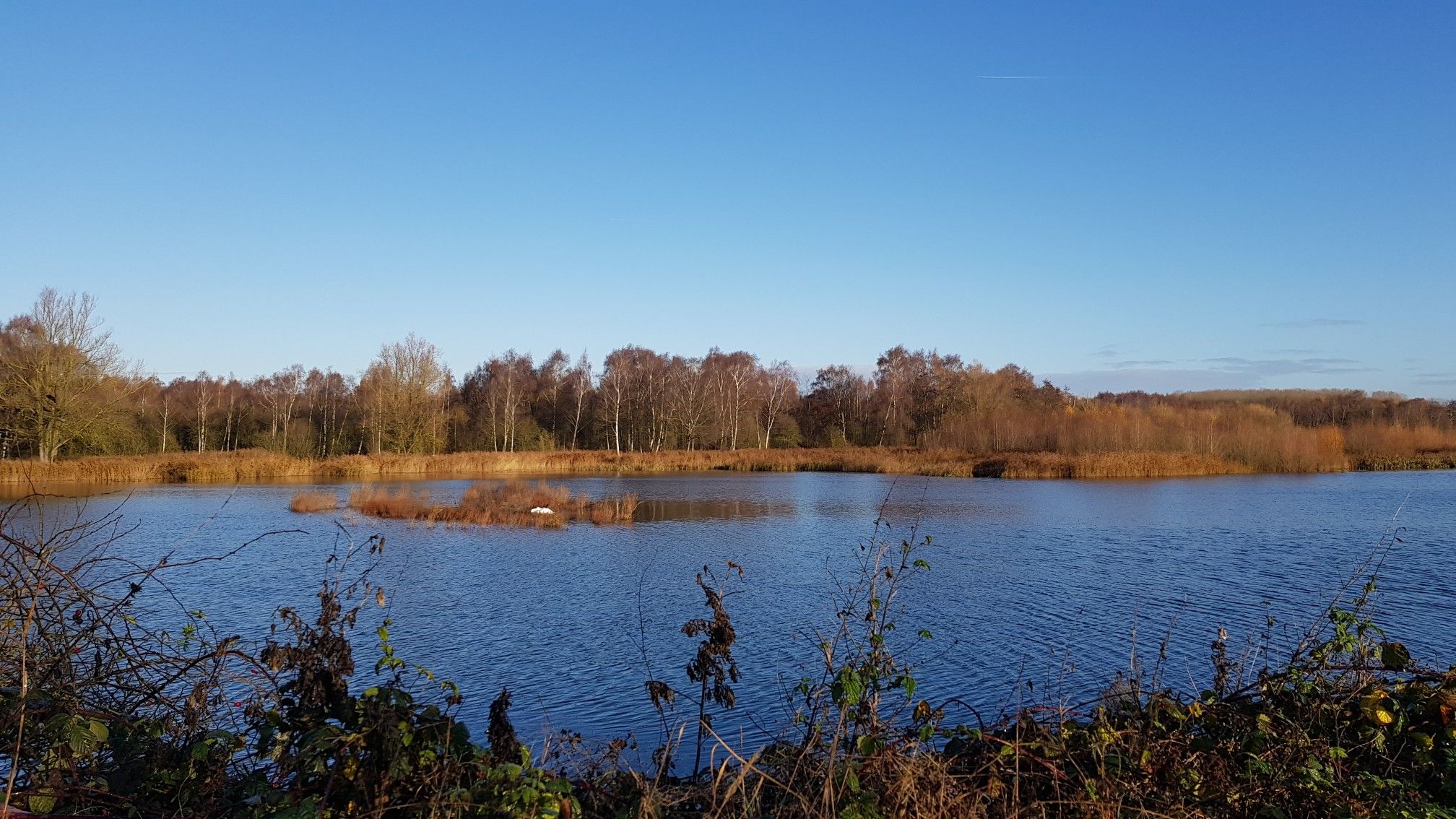 Wisby Nature Reserve
