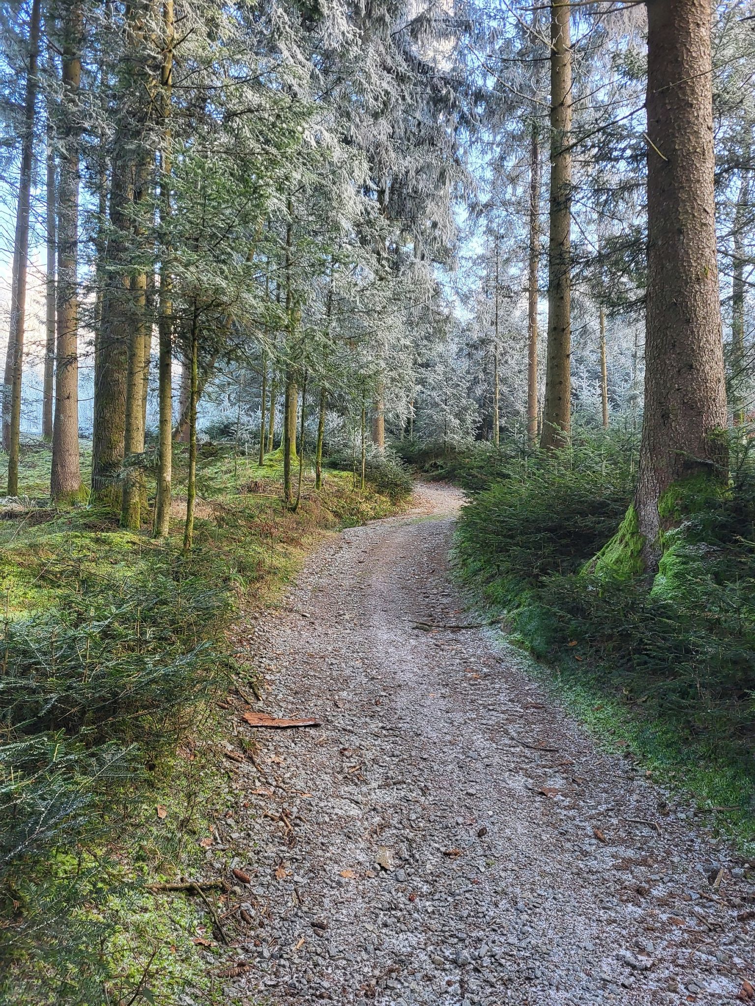Wanderweg Nr. 7 Doblunde