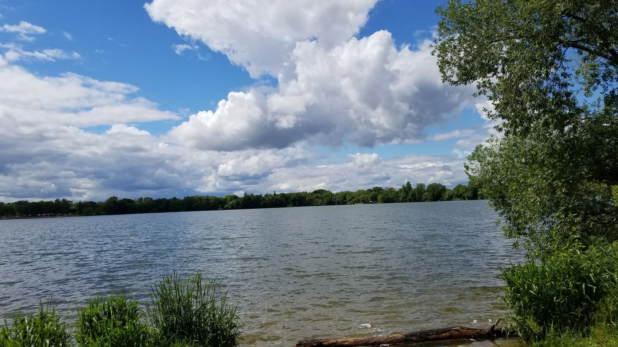 Expansive lake with green shoreline and a bright, cloudy blue sky. - Grand Rounds National Scenic Byway