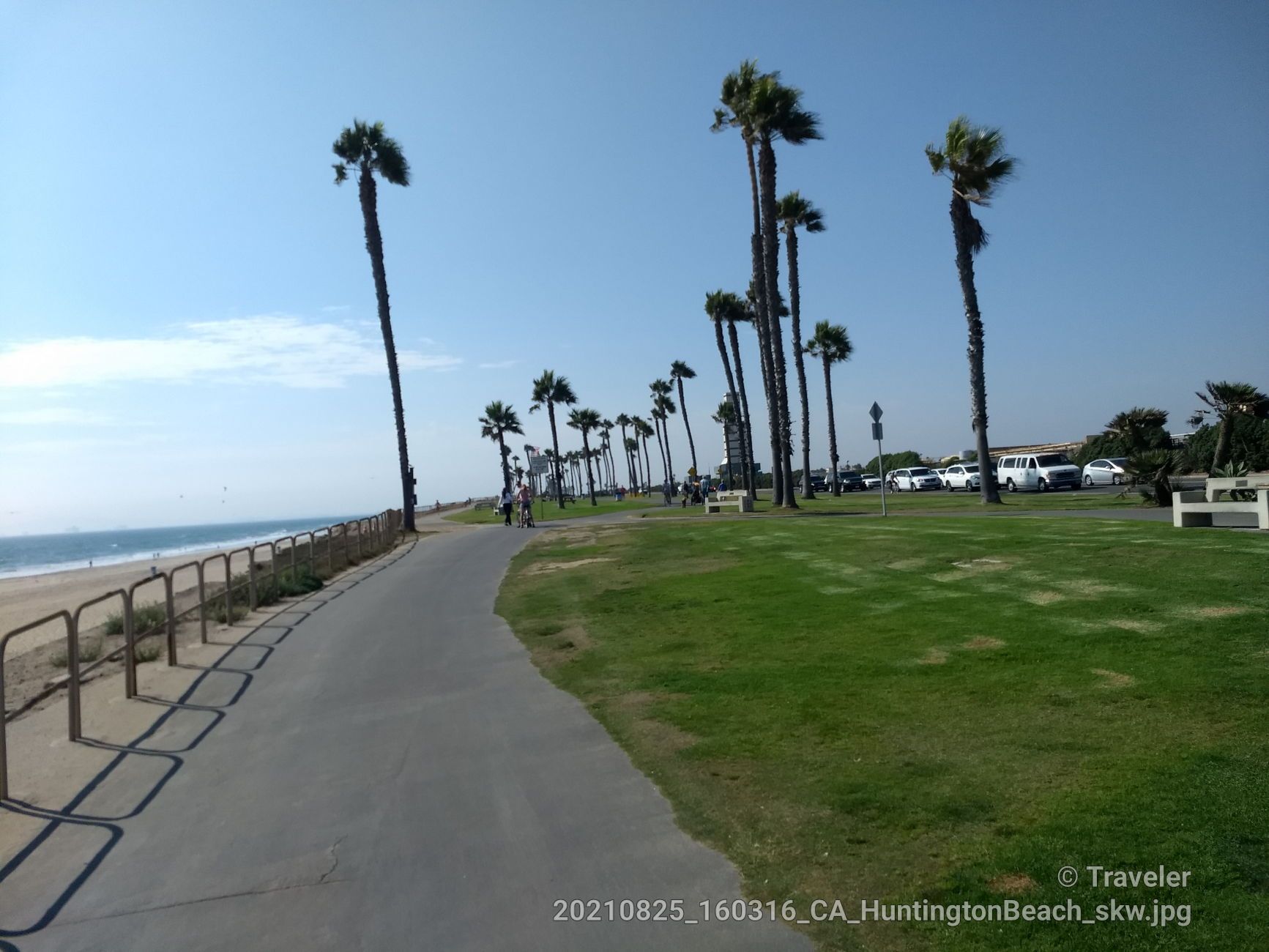 Paved path next to a grassy area with palm trees and a distant beach. Bright day. - Huntington Dog Beach Trail