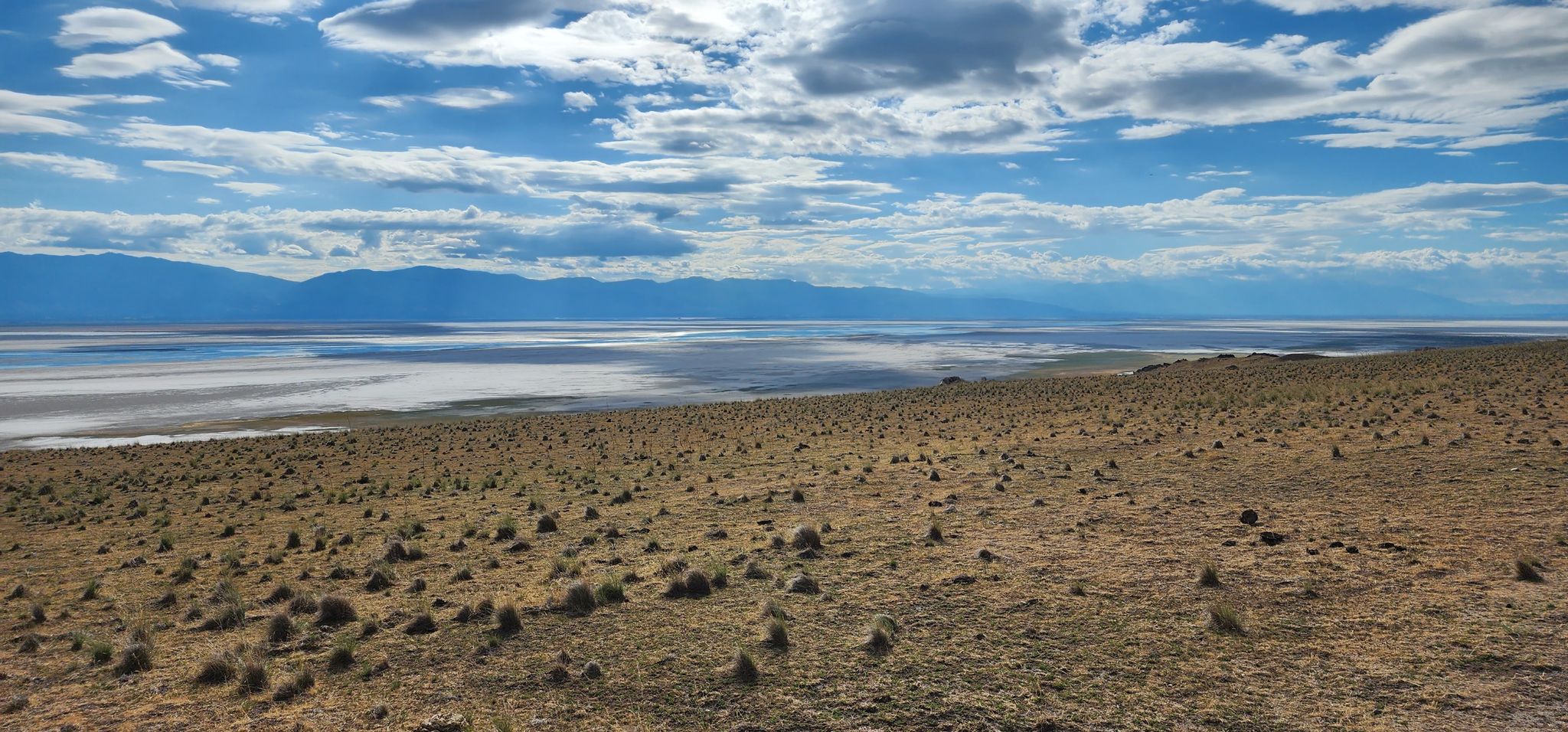 Vast dry, grassy plain leading to a large body of water and distant mountains. - Antelope Island State Park – Antelope Island views loop from Buffalo Point