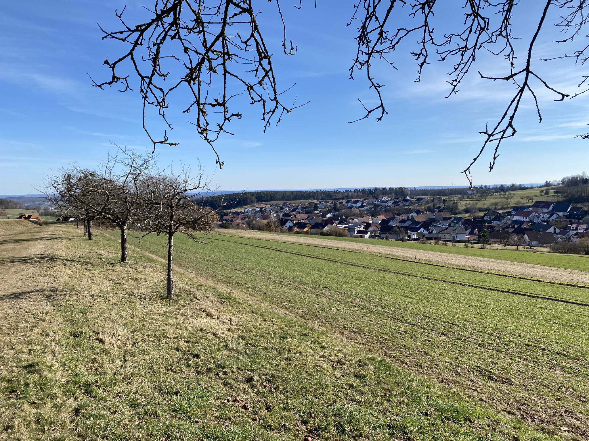 Blick über Waldfenster