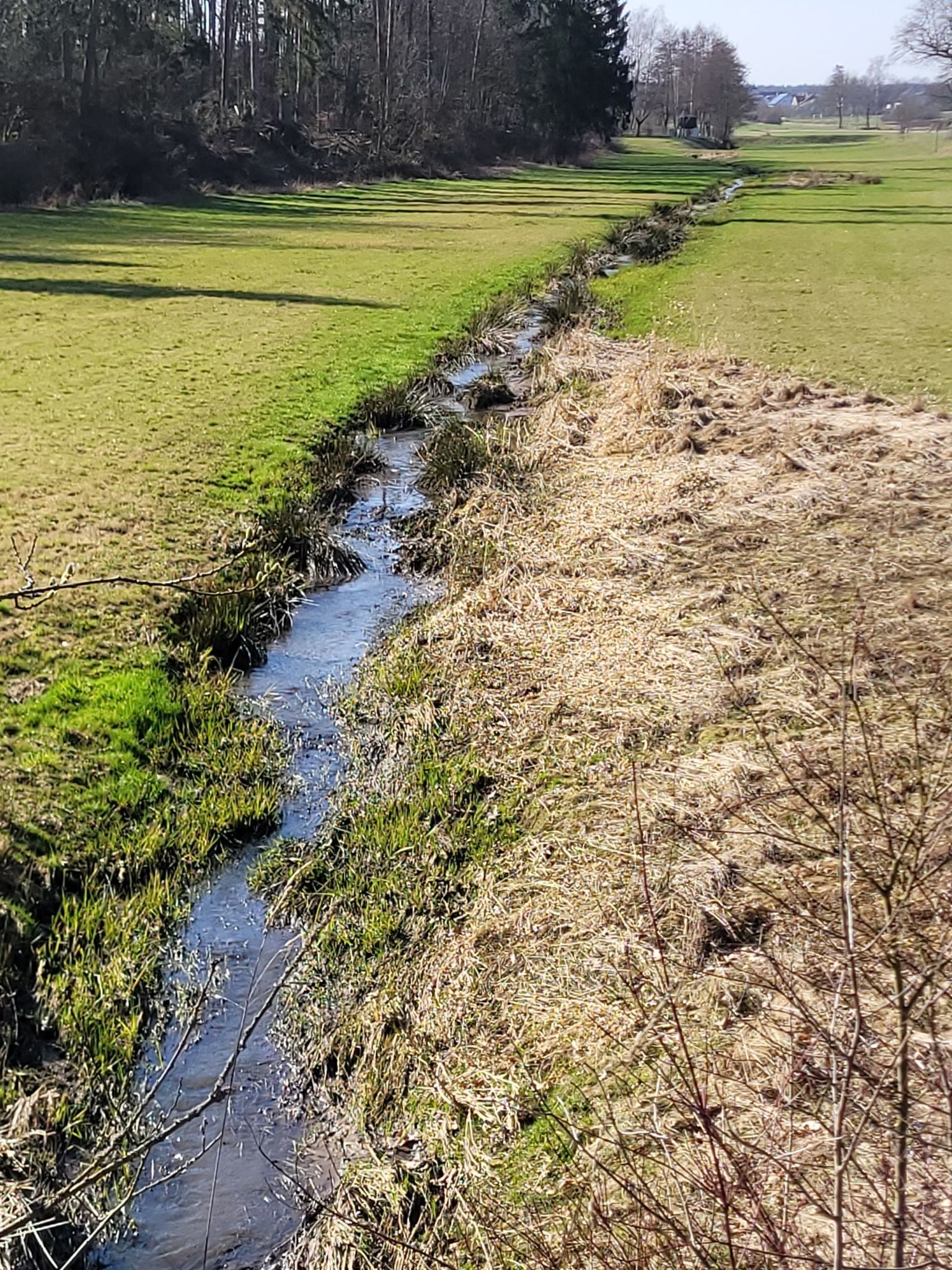 Die Natur Lebt