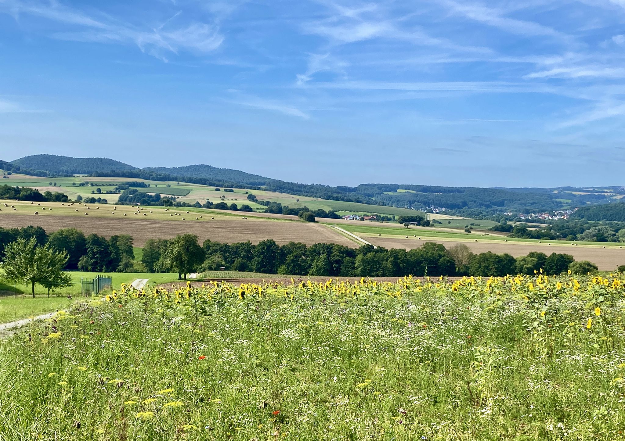 Blick in Richtung Heimat