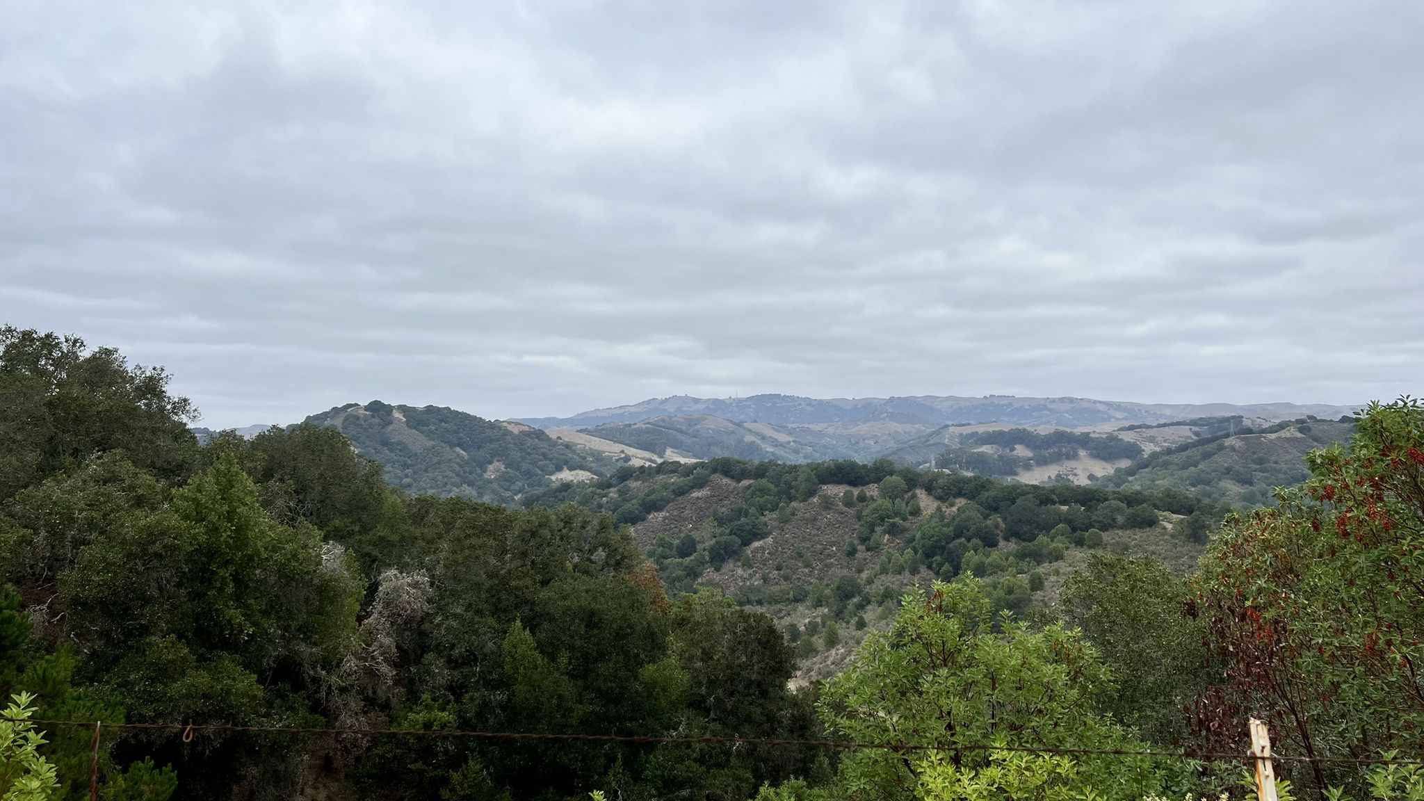 Overcast view of rolling, tree-covered hills under a gray sky. - Redwood Road Loop