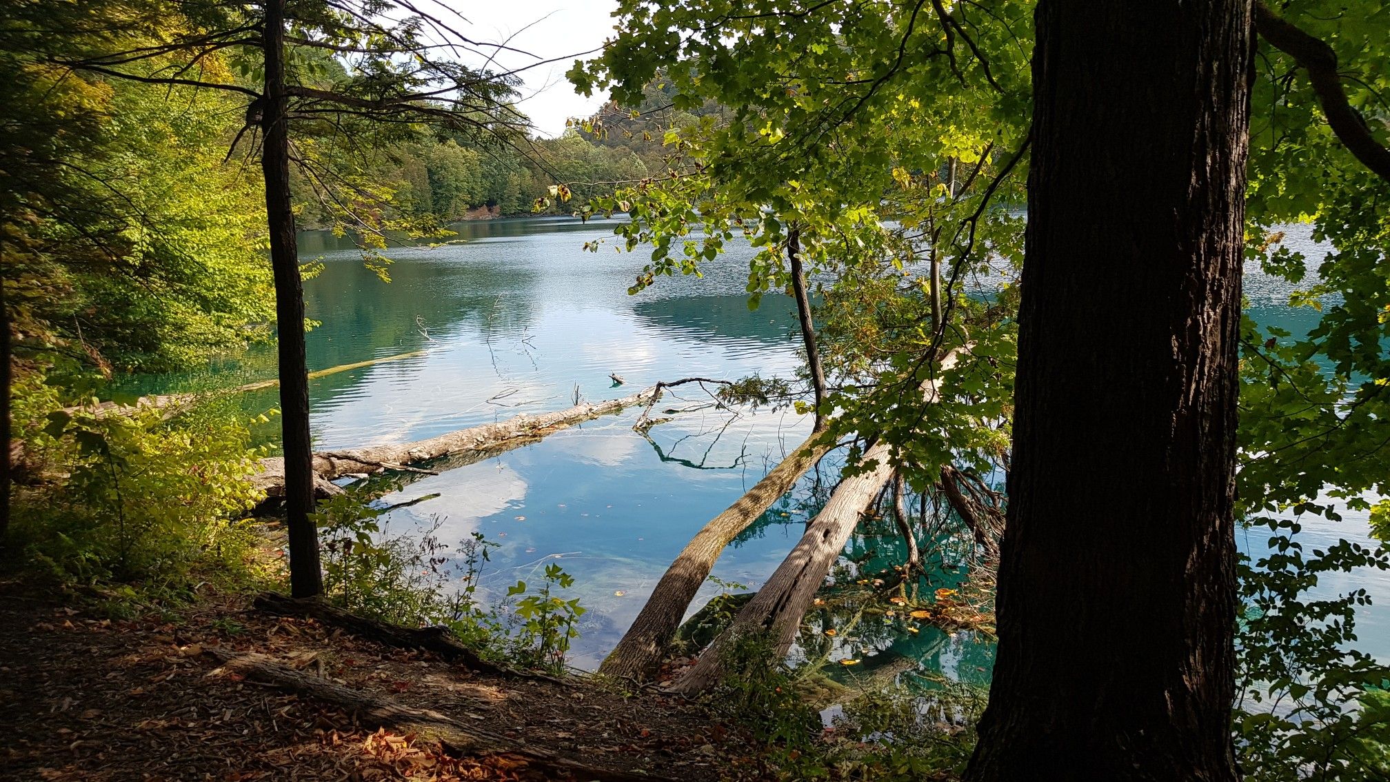 Sunlight filters through trees onto a lake with fallen logs. - Green Lake State Park – Green Lake loop from Green Lakes State Park