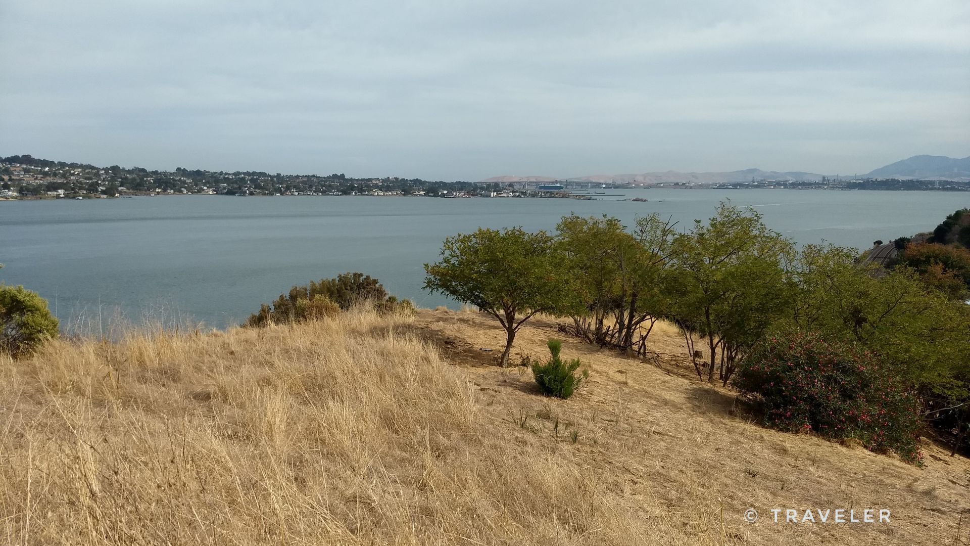 Dry grassy hillside with scattered trees overlooking a wide body of water. - Bull Valley and Carquinez Loop Overlook Trail