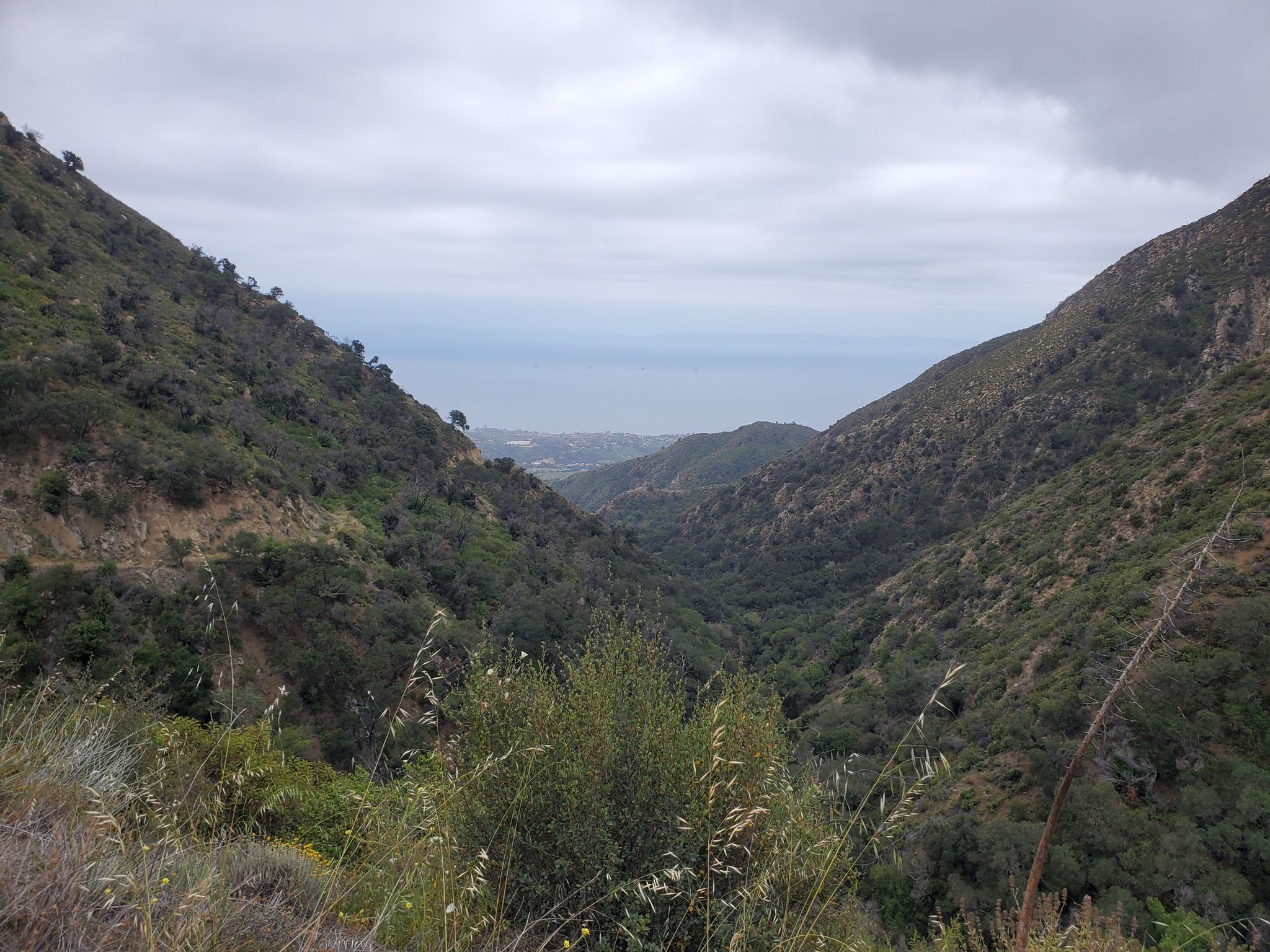 A valley view with distant ocean under a cloudy sky. - Romero Canyon Loop Trail