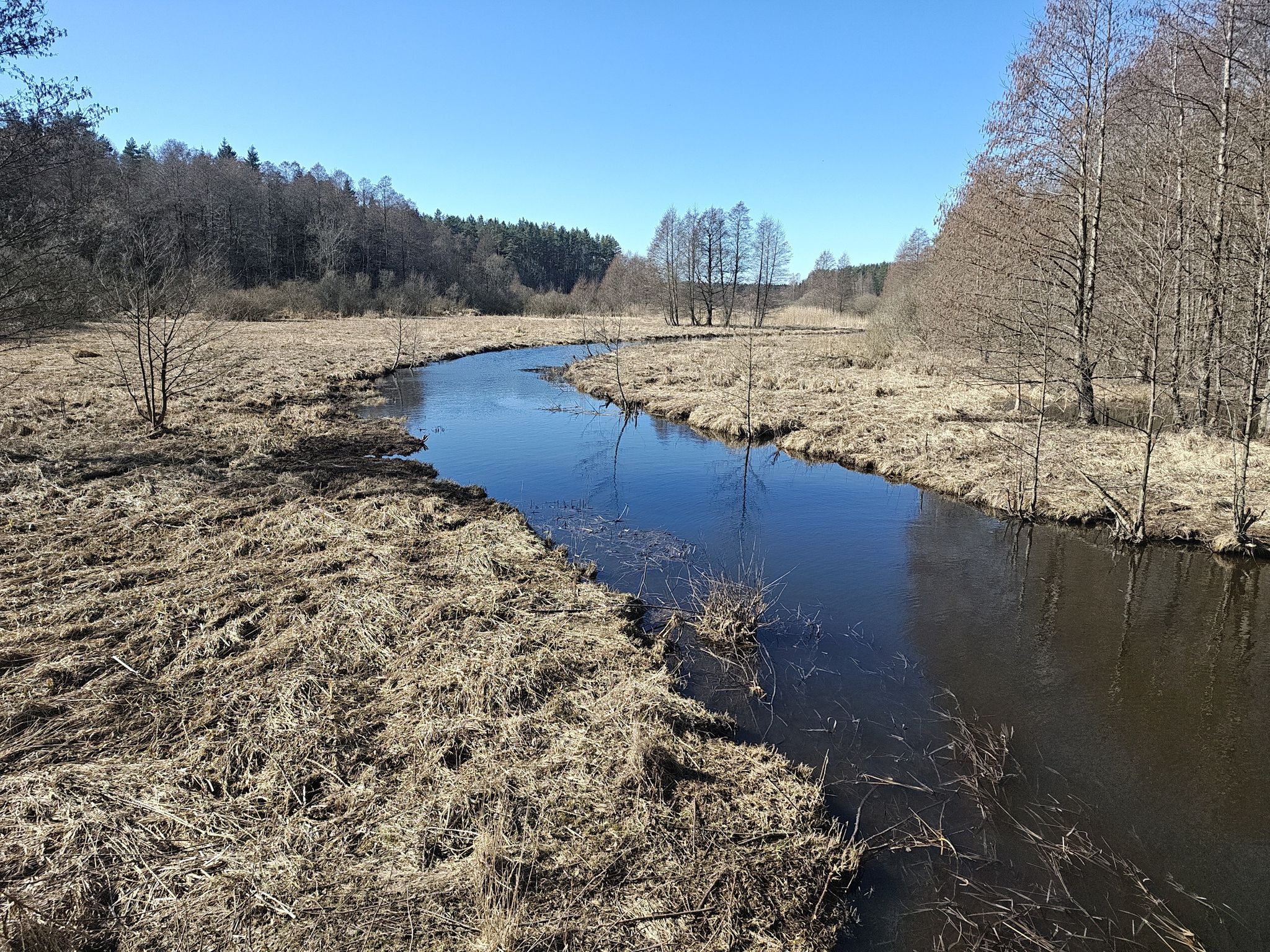 Markija