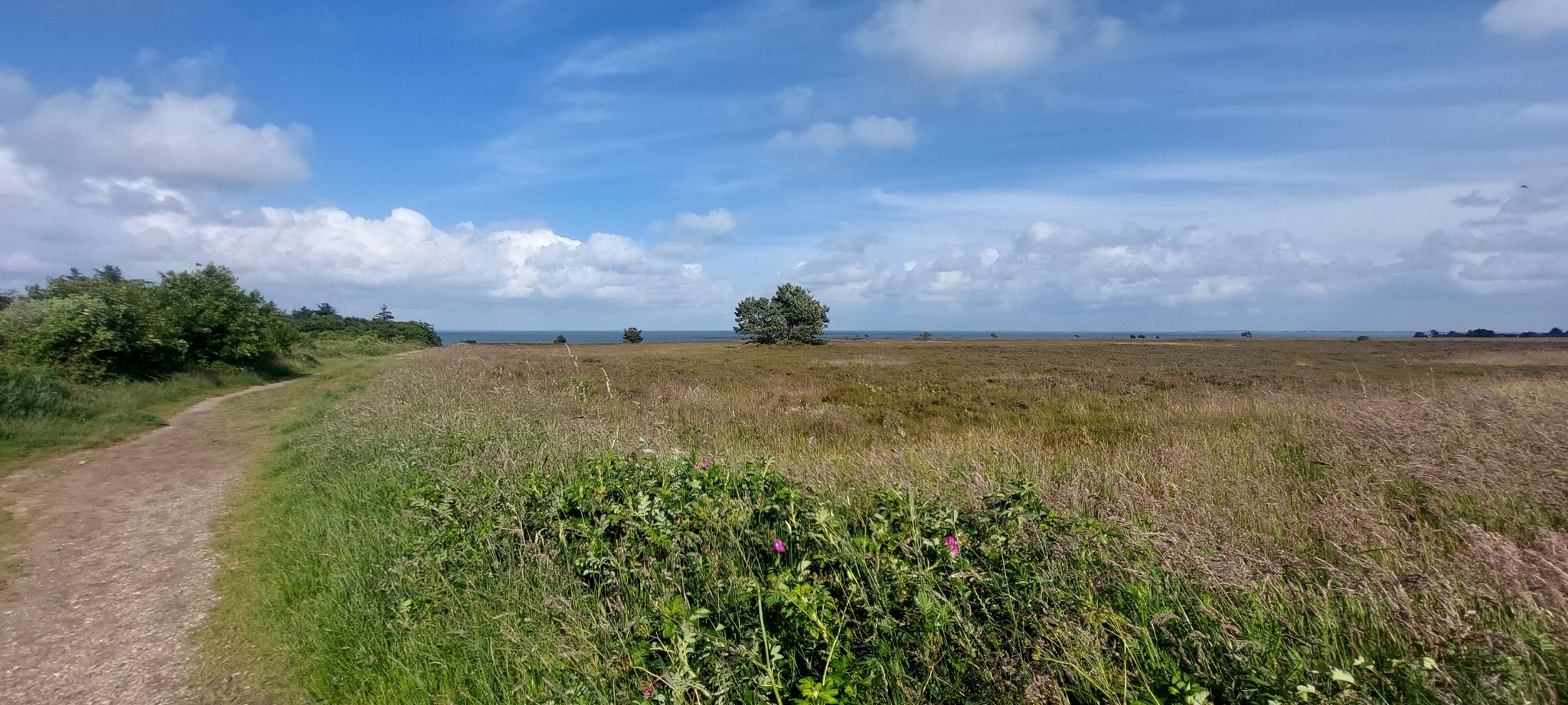 Naturschutzgebiet Braderuper Heide