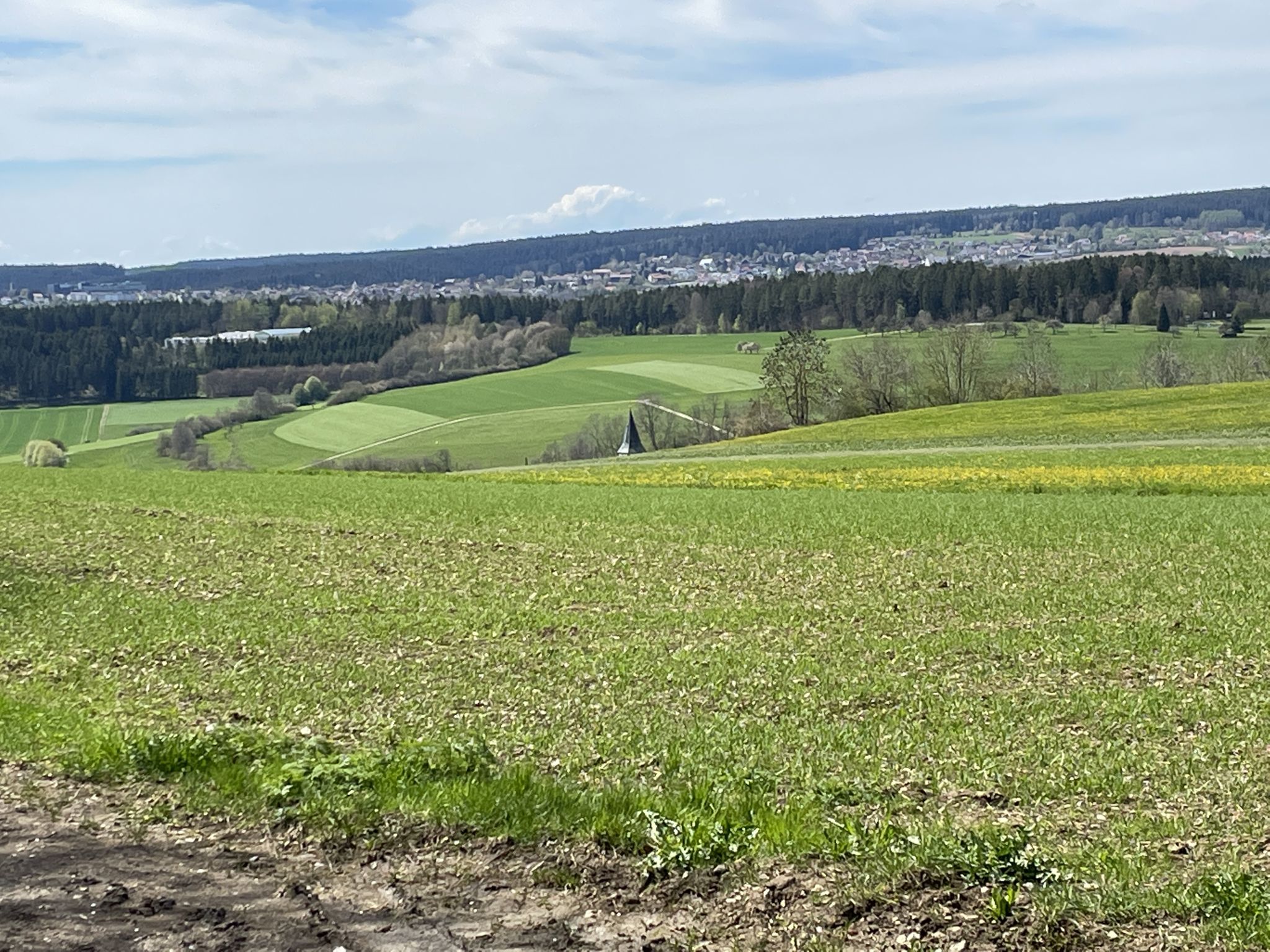 Blick nach Lossburg 