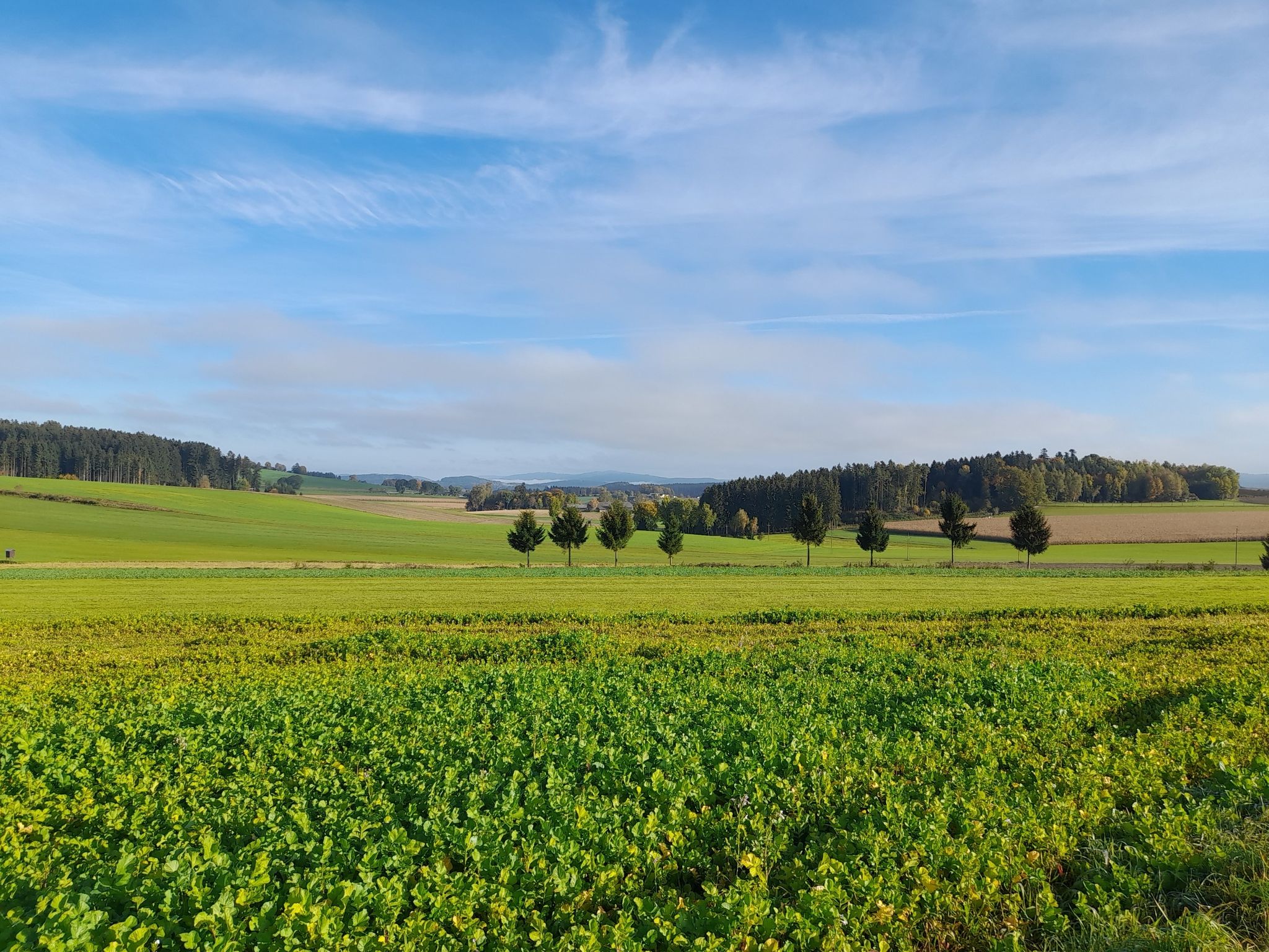 Miesenbach