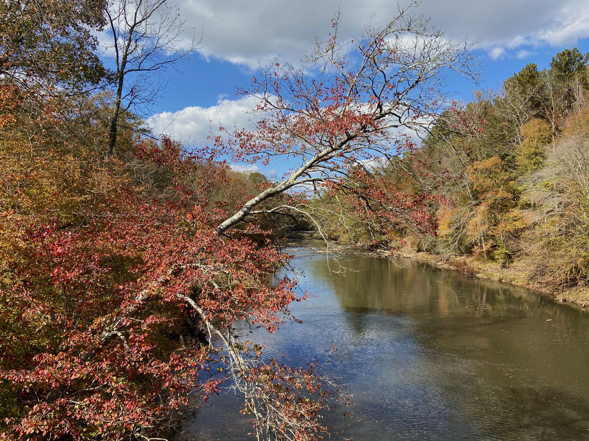 River winding through vibrant autumn trees under a partly cloudy sky. - New Manchester Mill Ruins – Bridge over Sweetwater Creek loop from Sweetwater Creek State Park