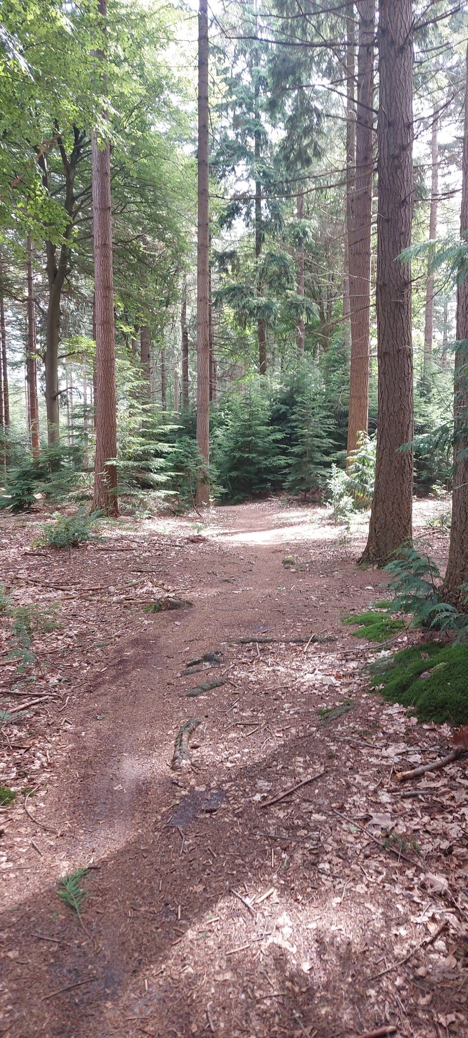 mooie struinpaden