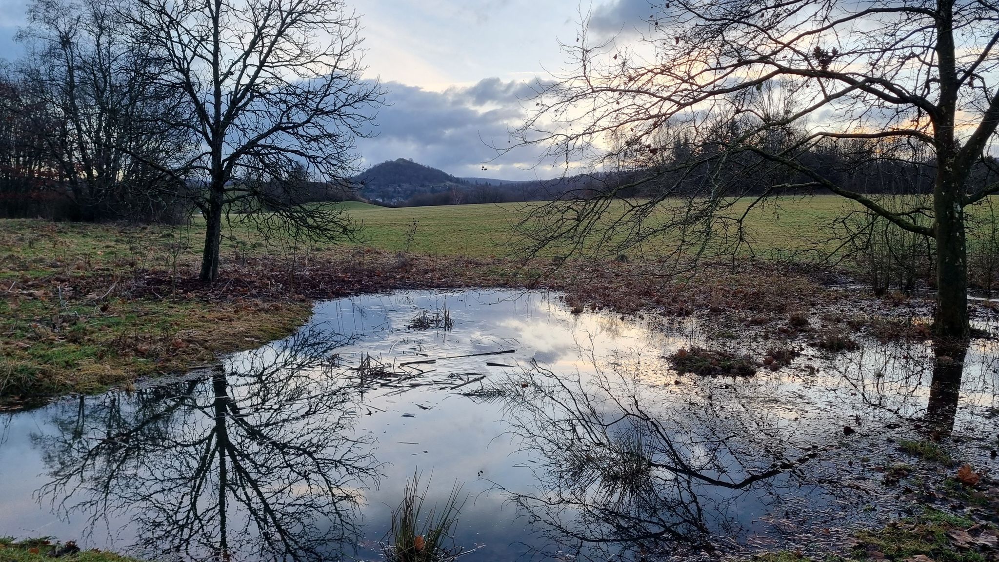 Biotop (Im Hintergrund der Georgenberg)