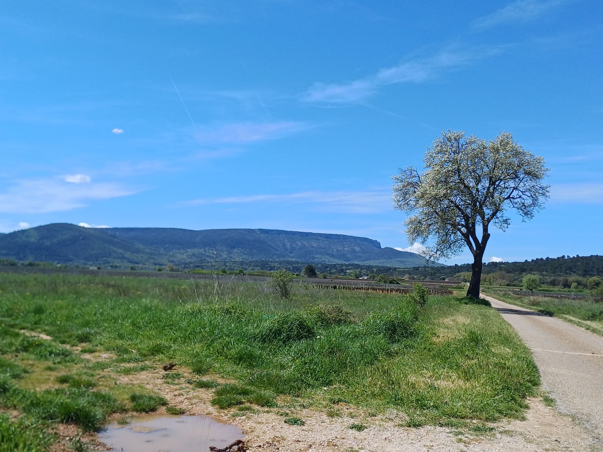 Mont Aurélien
