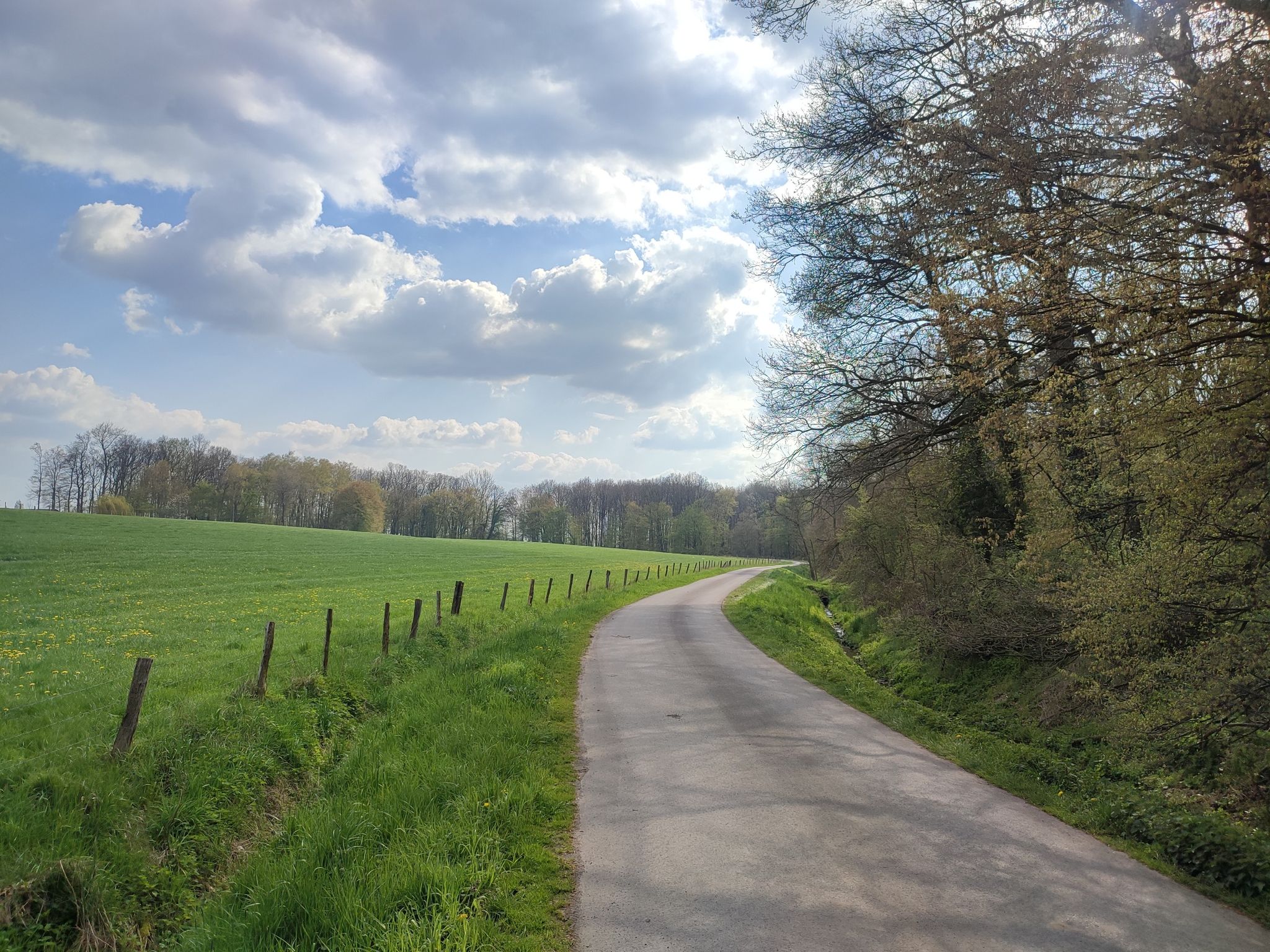 Waldweg