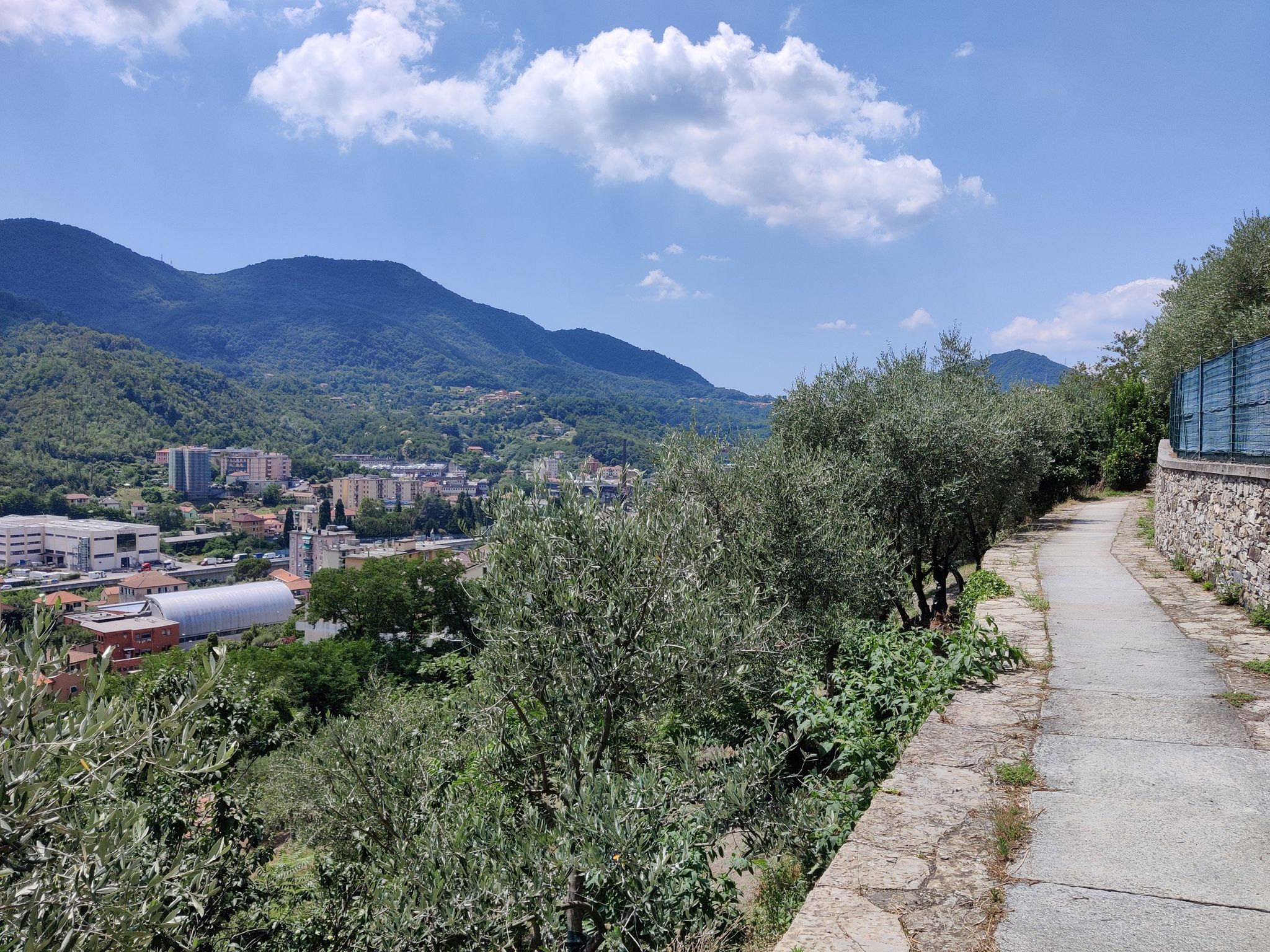 Prato