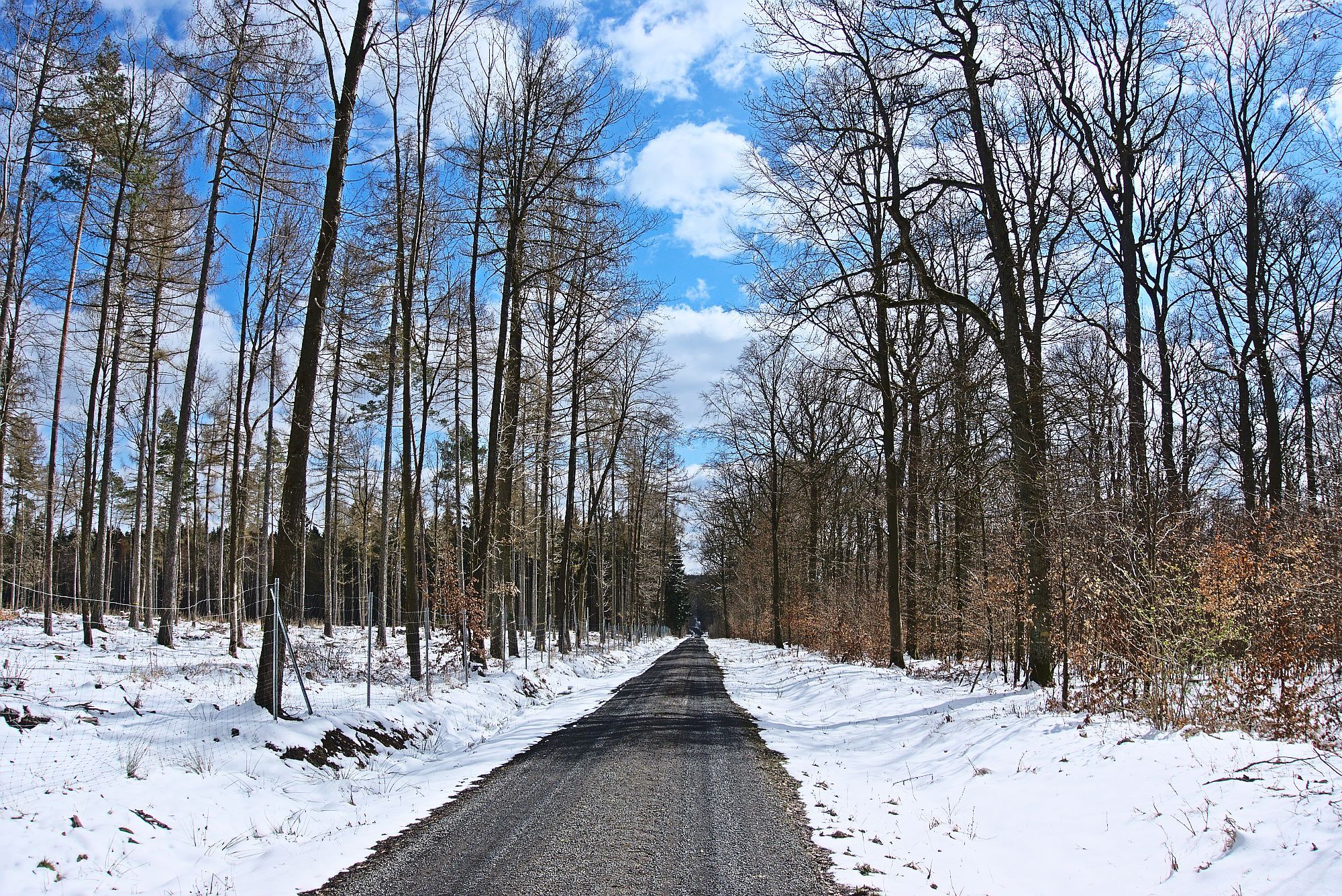 Auf dem Rennweg, der als Kammweg über die Haßberge führt