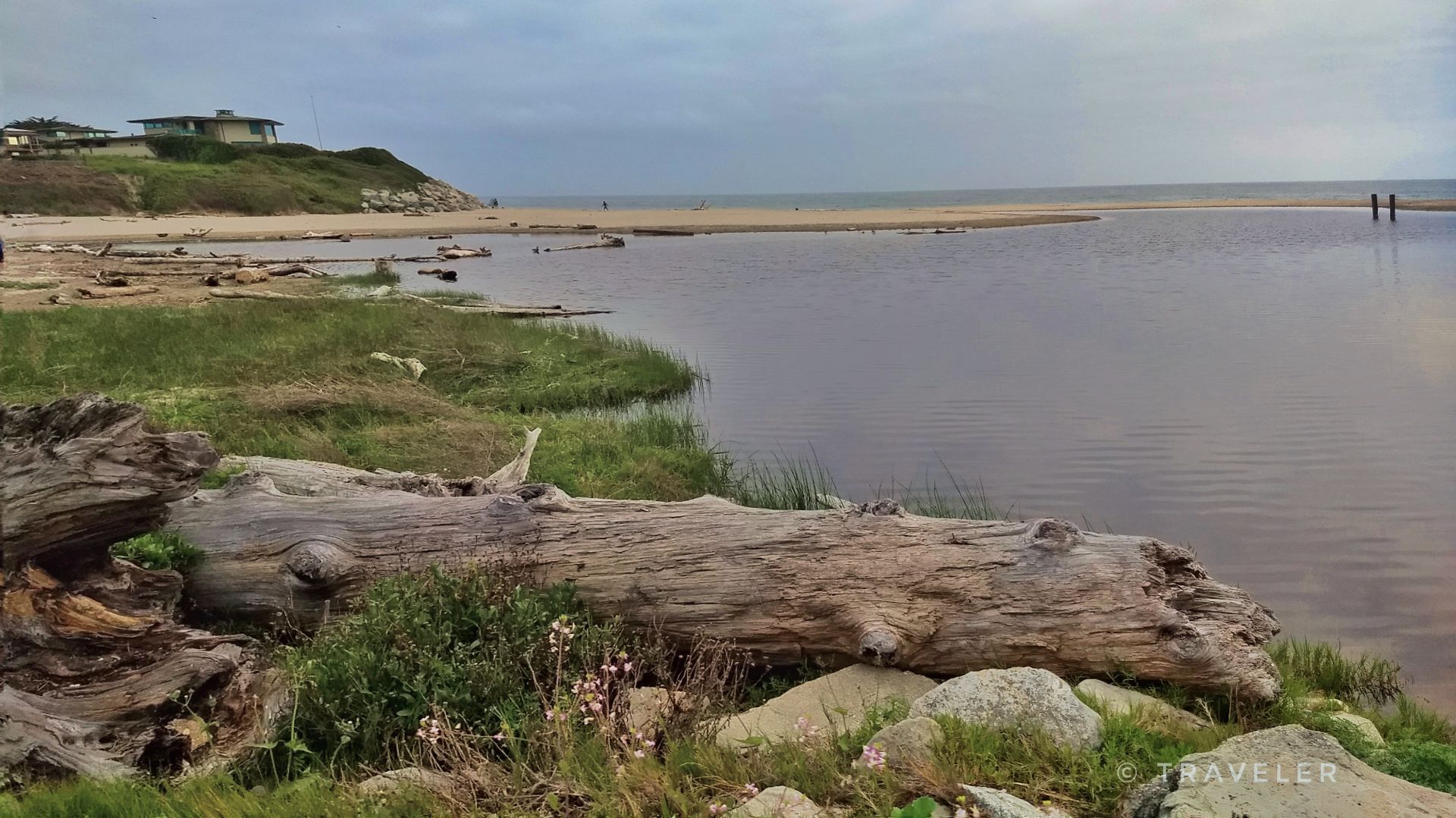 River meets ocean, with driftwood and distant houses under a cloudy sky. - Pleasure Point Beach – West Cliff Cycleway loop from Capitola