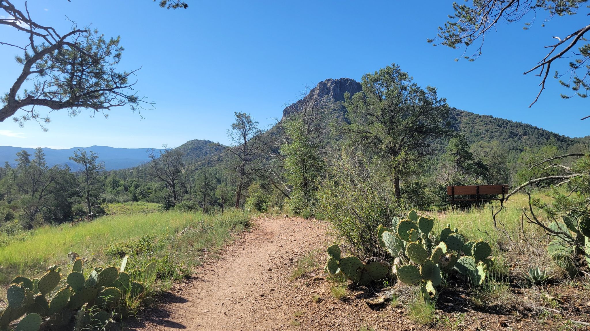 Dirt path through desert landscape with cacti, trees, and a distant mountain. - Pine Lakes #316 and Watertower #315 Loop