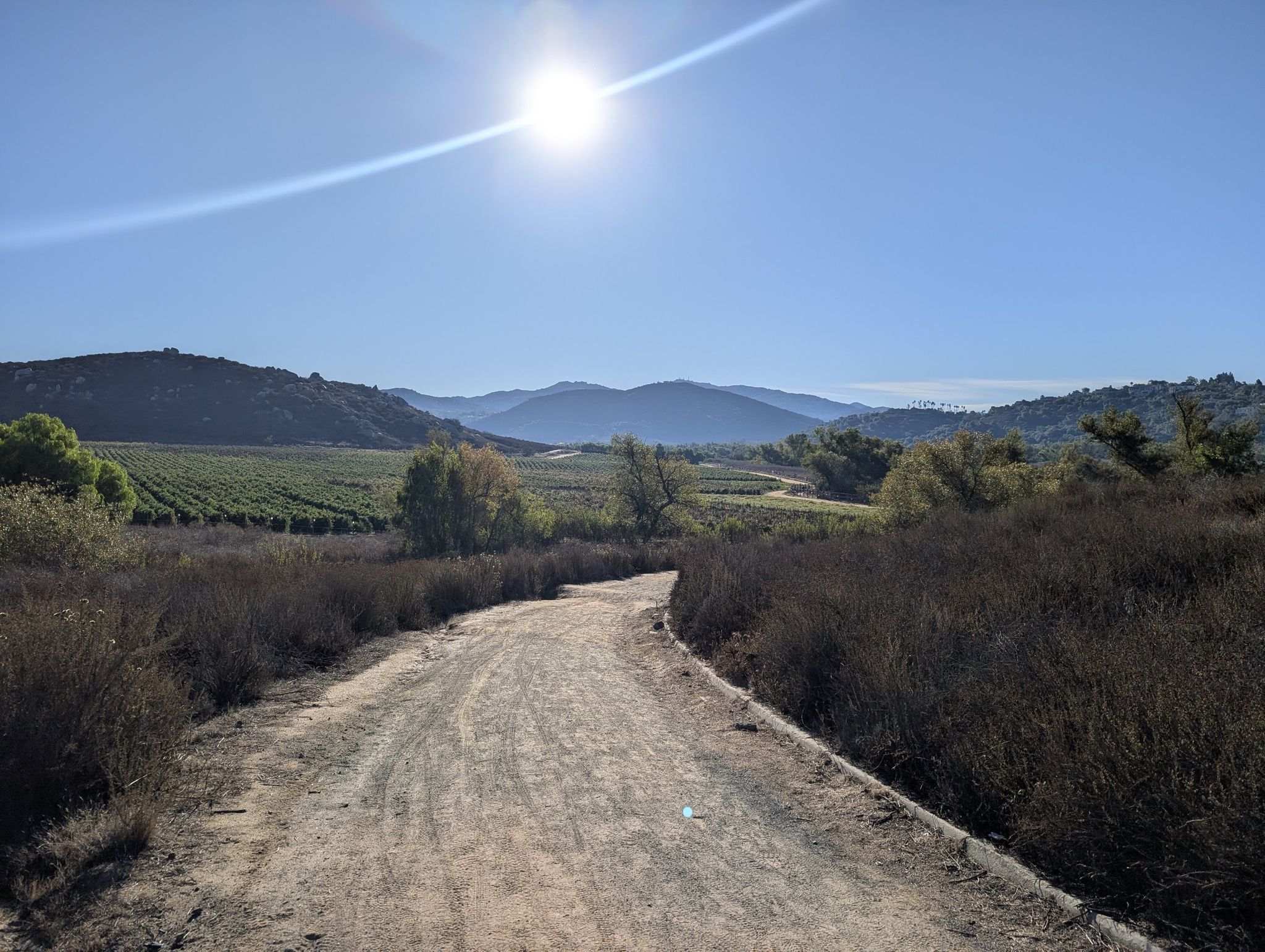 A dirt road leads to vineyards and mountains under a bright sunny sky. - Coast to Crest Trail – Mule Hill loop from Battle Mountain