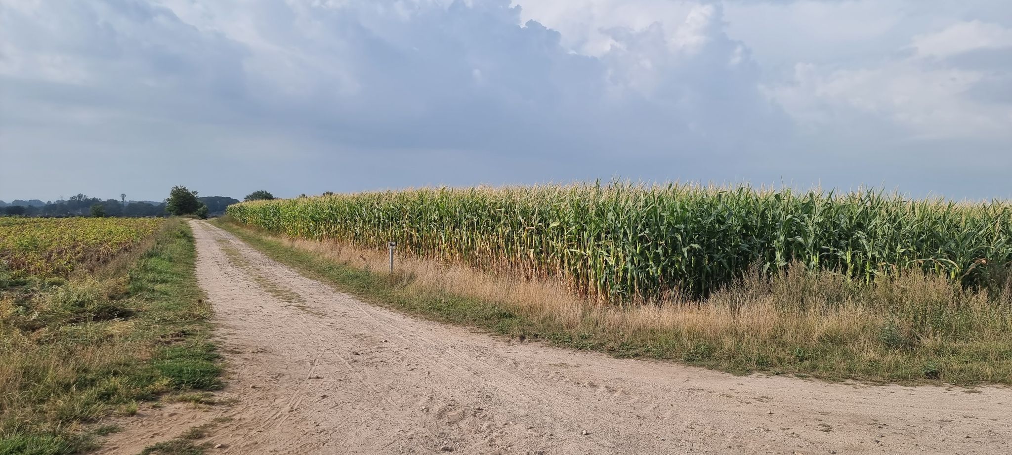 So langsam kommt die Regen und Gewitterfront