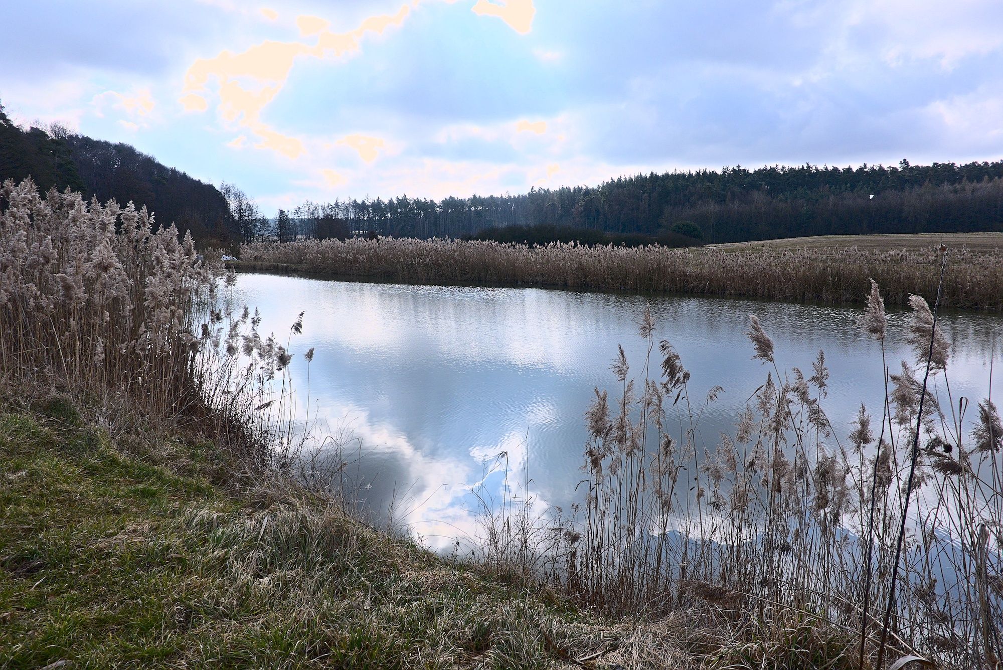 Weiher in Hirschbrunn