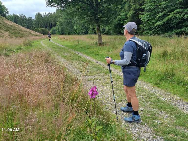 Rold skov, rebild bakker og Gravlev ådal | Wanderung | Komoot