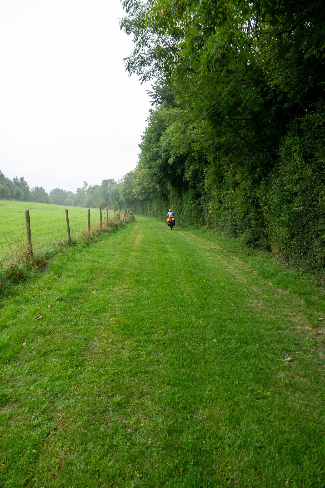 Chemin rural de Sercourt