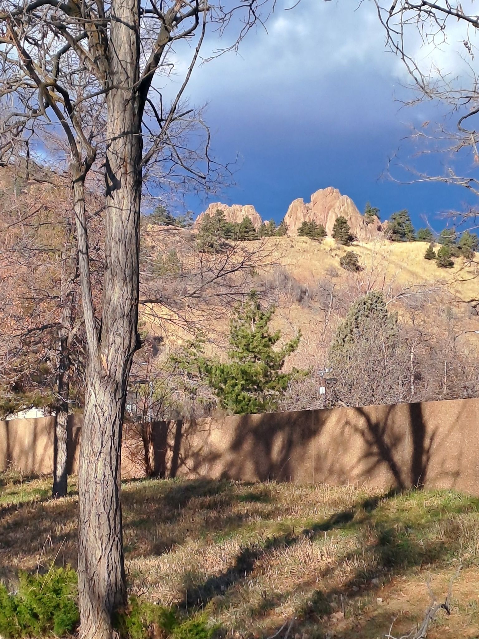 Bare trees frame rocky hills under a dramatic, partly dark sky. - Spruce Confections – Maxwell Reservoir loop from Boulder