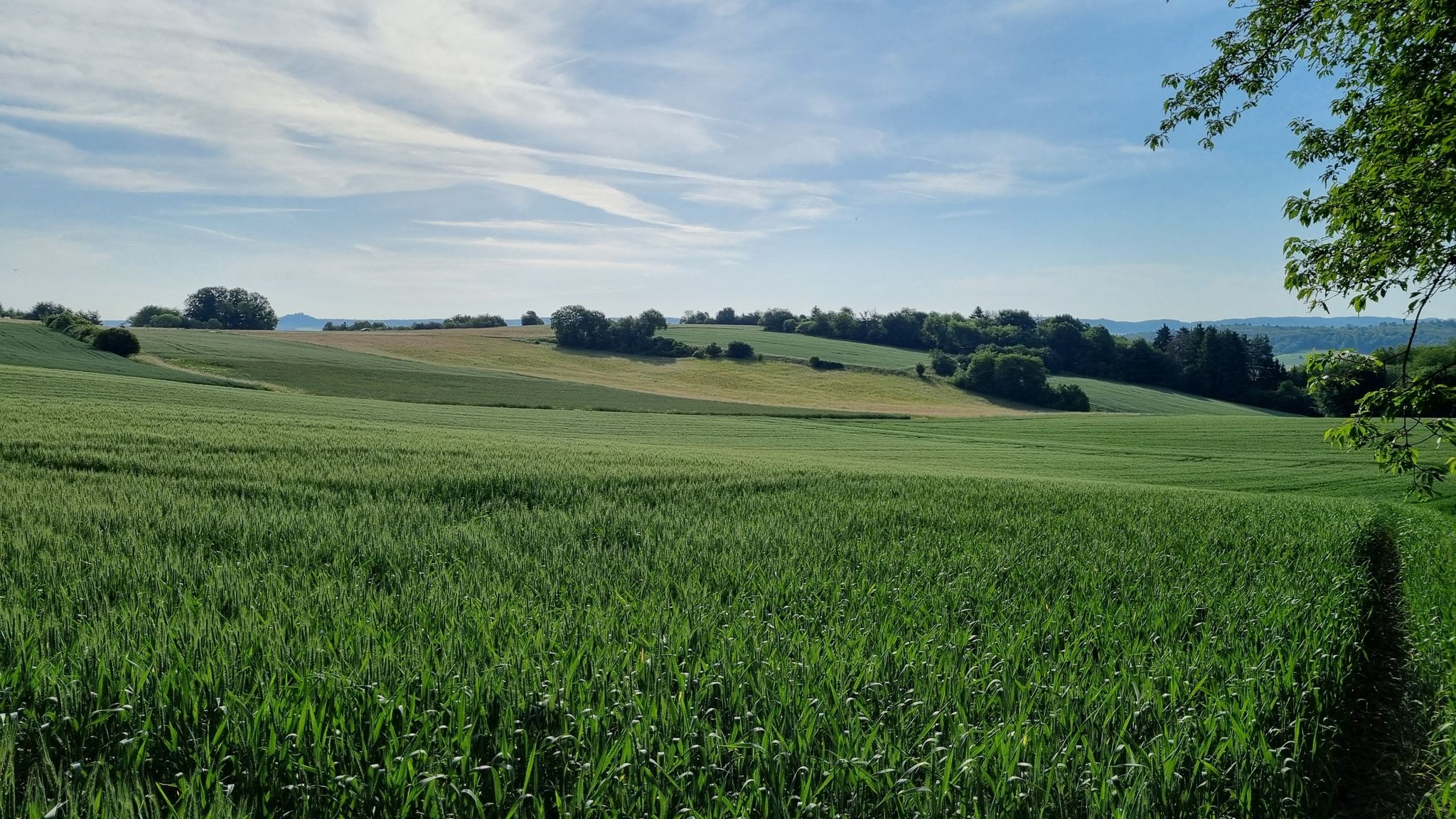 Der Otzberg in der Ferne