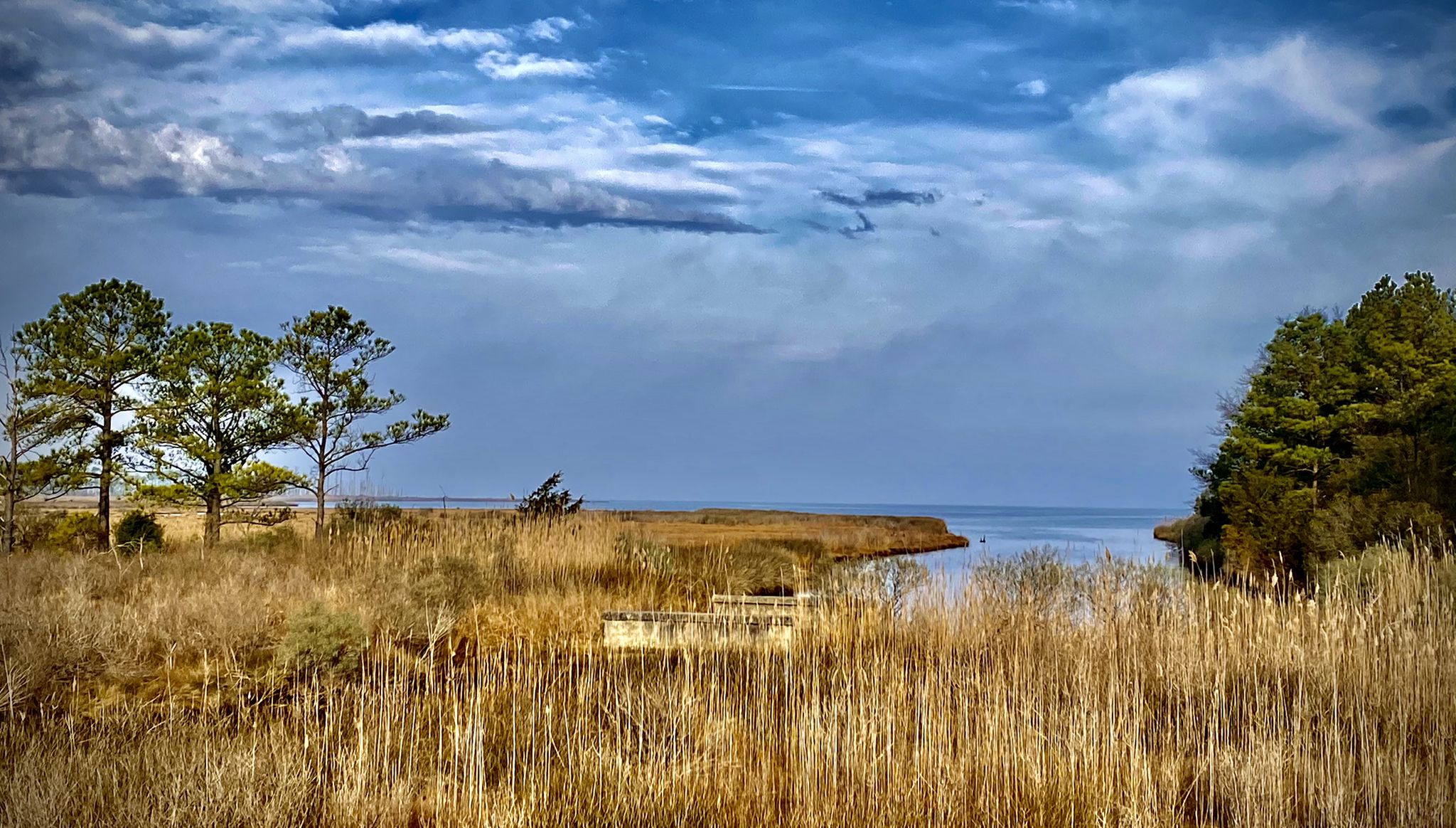 Overcast sky above a marshy inlet with tall grasses and distant trees. - IRONMAN Loop