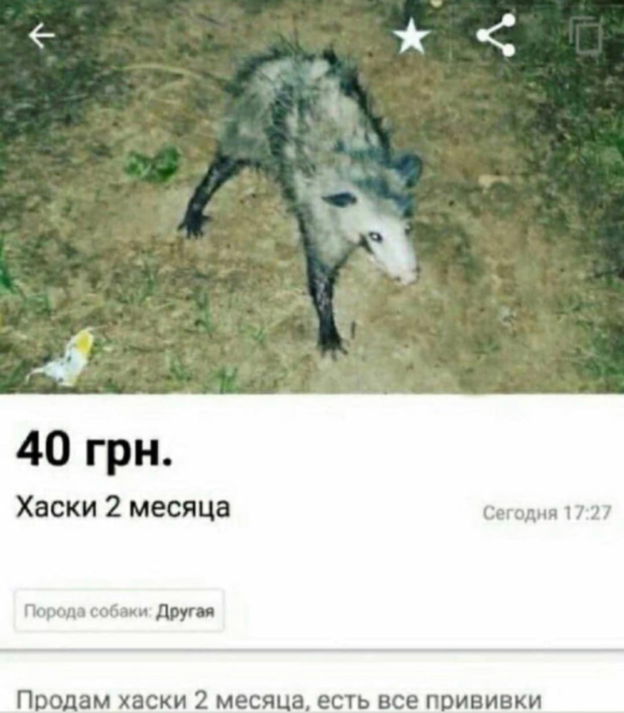 user avatar
