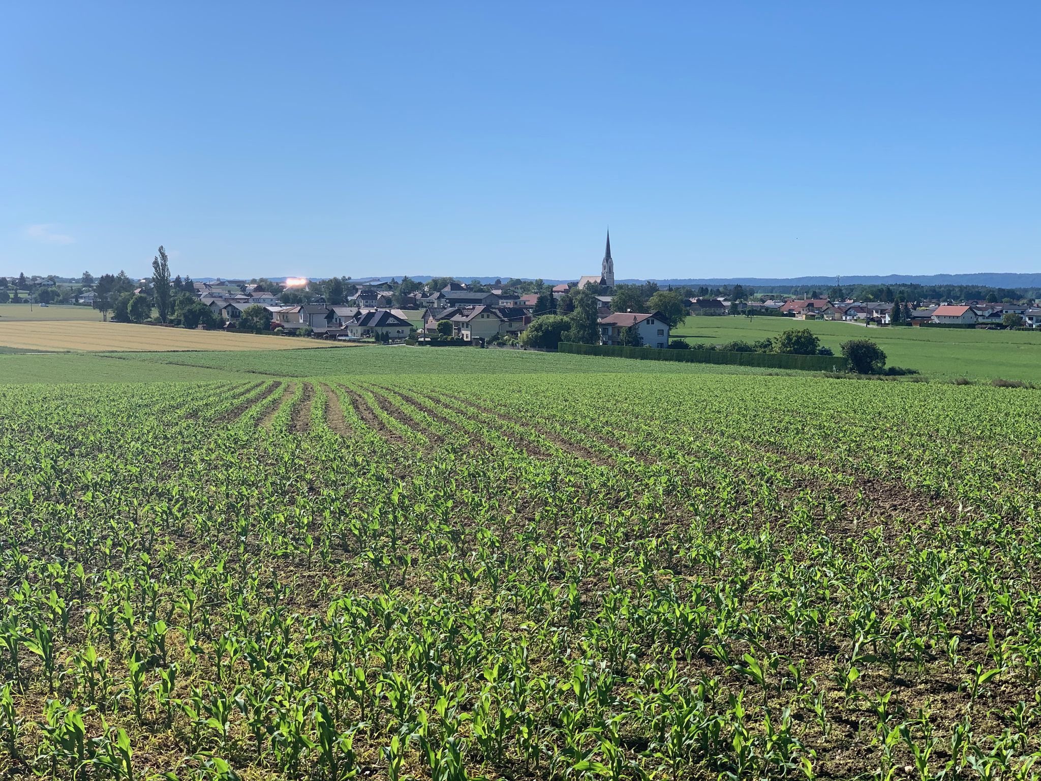 Aus der Ferne begrüßt uns nächste denkmalgeschützte Kirche