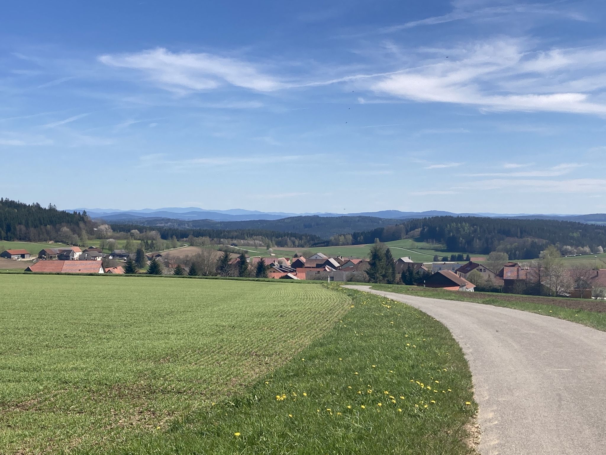 Wildstein