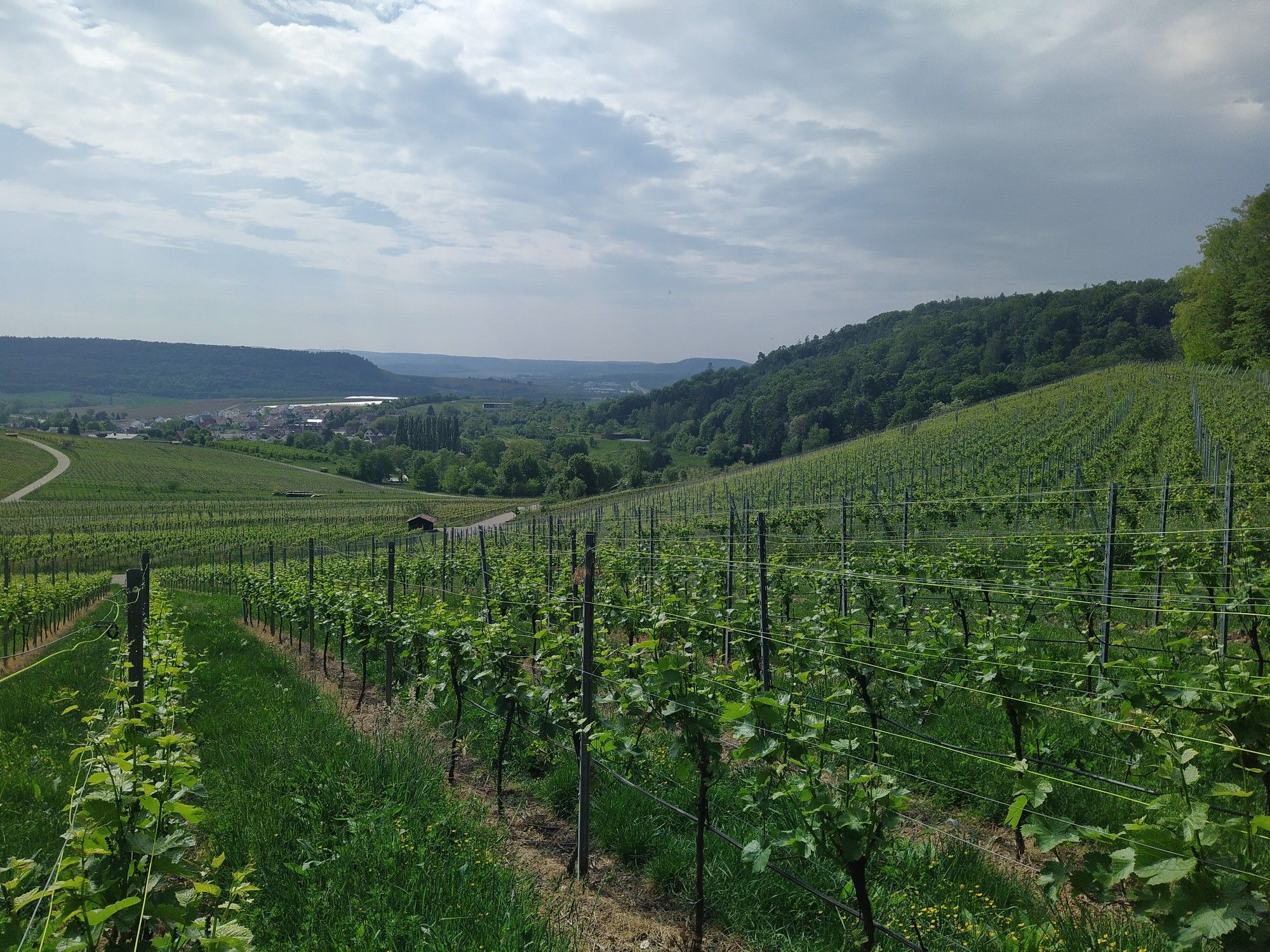 Am Weinberg