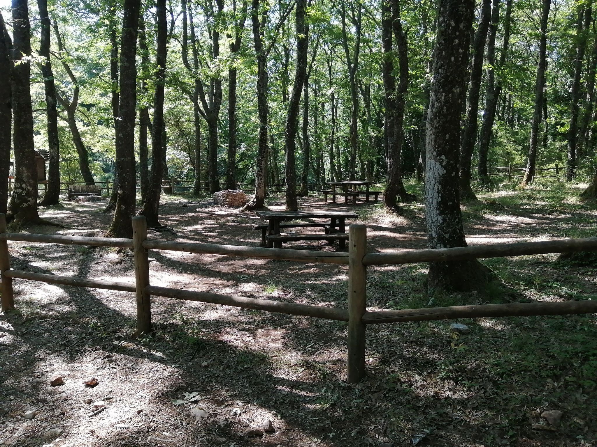 area picnic