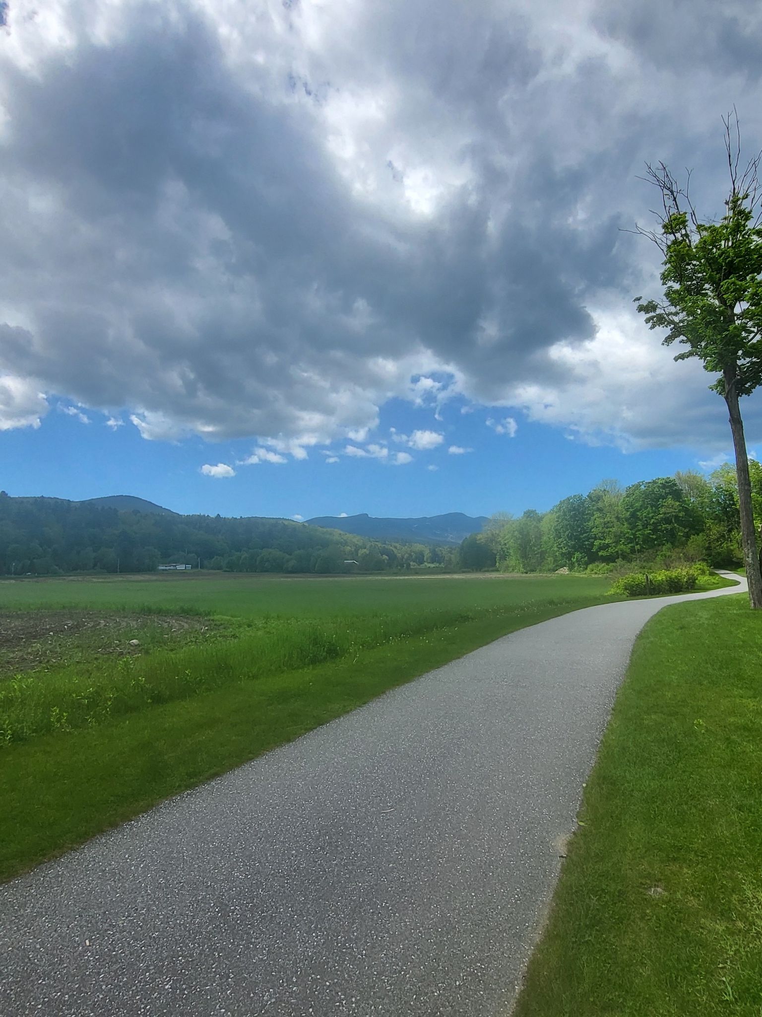 A paved path curves through a green field under a bright, cloudy sky. - Stowe Recreation Path loop from Cady Hill Forest