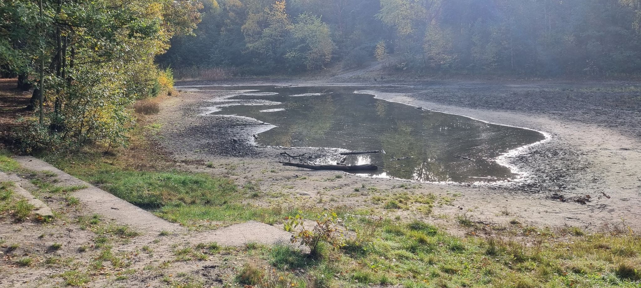 Stöckser See, gerade nicht viel Wasser