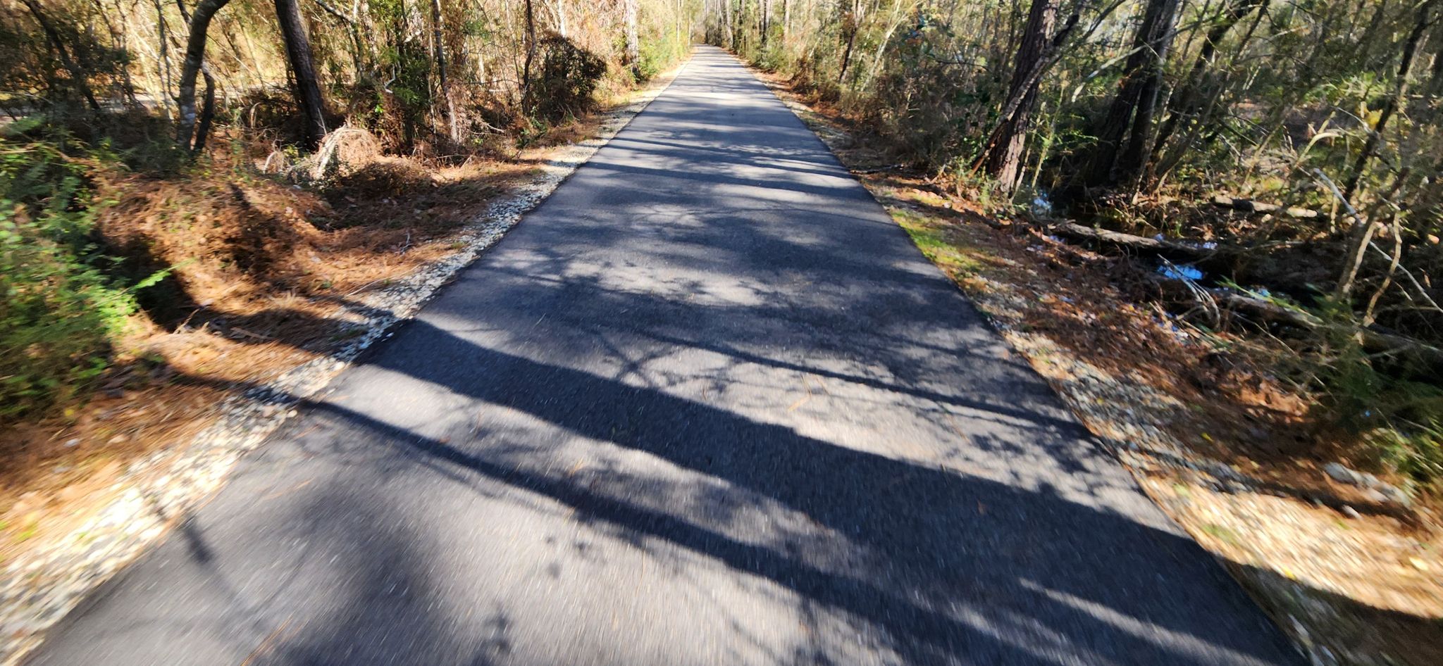 Paved path through a sunlit forest with strong, long shadows. - Cool bridge on the path – Camp Salmen Nature Park loop from Order of the Arrow Garden