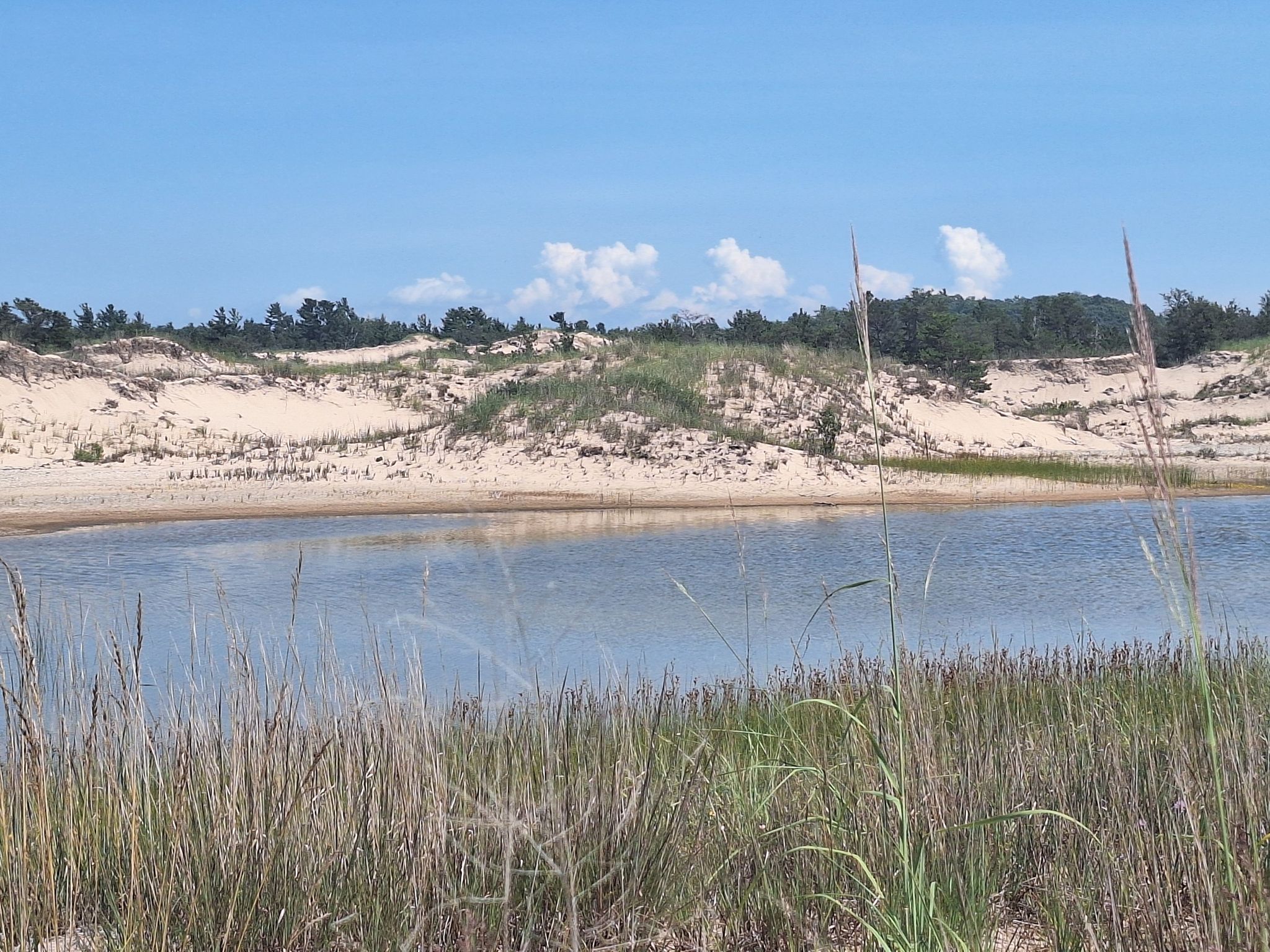 A tranquil lake with sand dunes and green vegetation under a blue sky. - Lighthouse Trail Loop